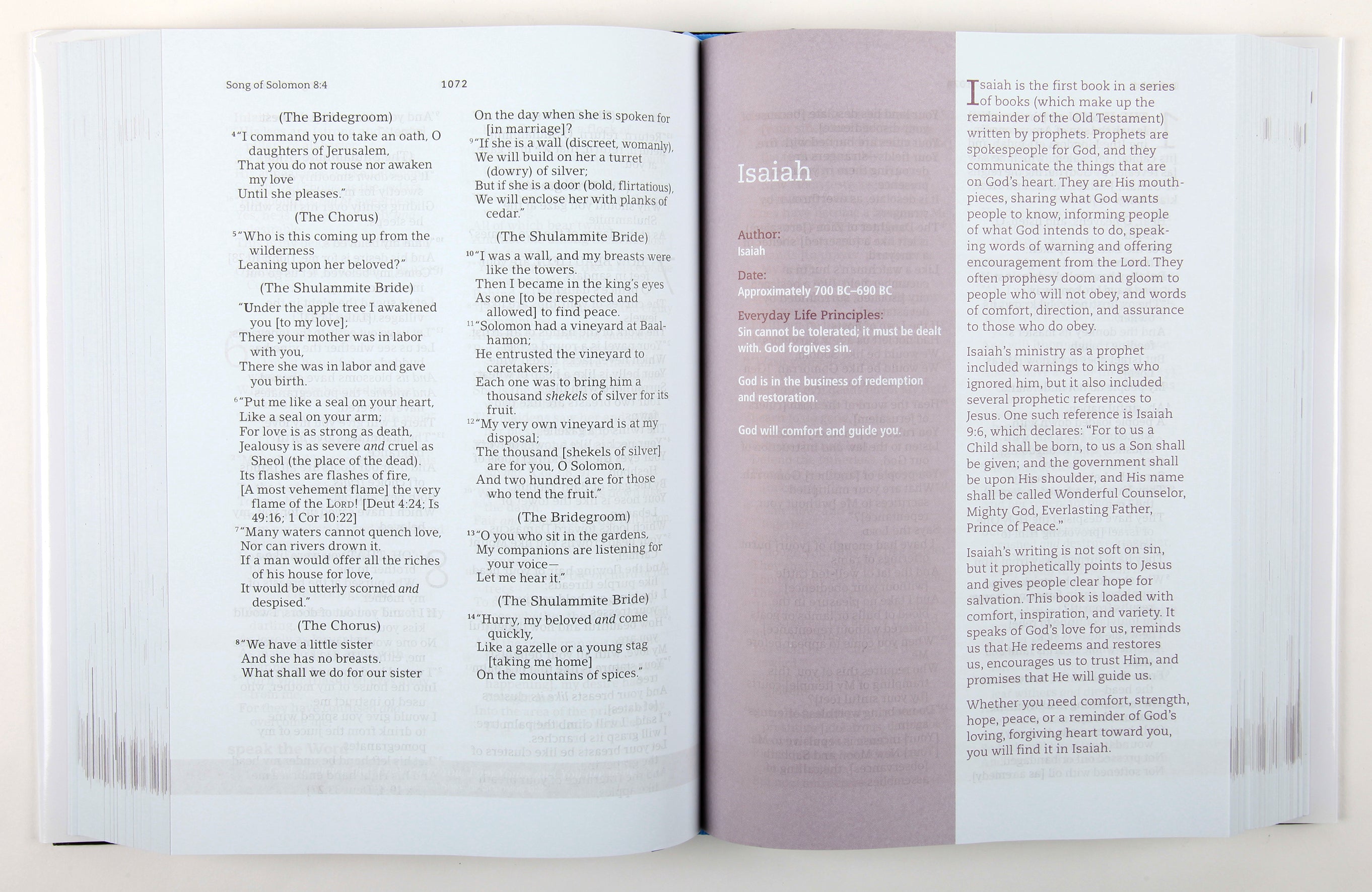 Amplified The Everyday Life Bible