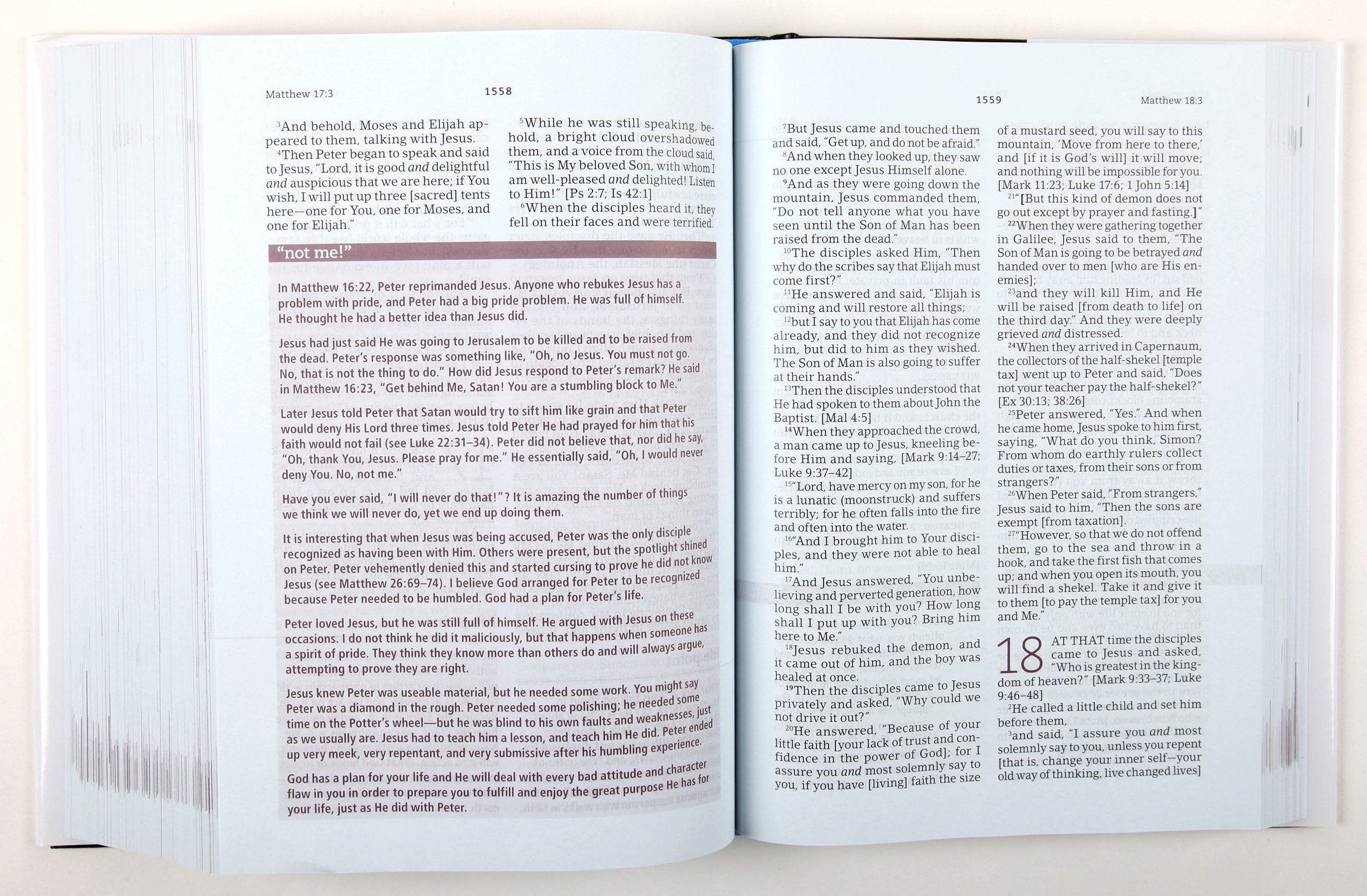 Amplified The Everyday Life Bible