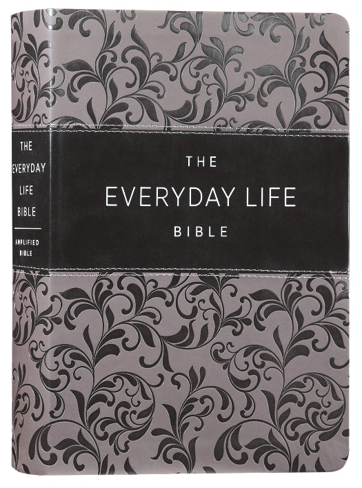 Amplified The Everyday Life Bible Gray
