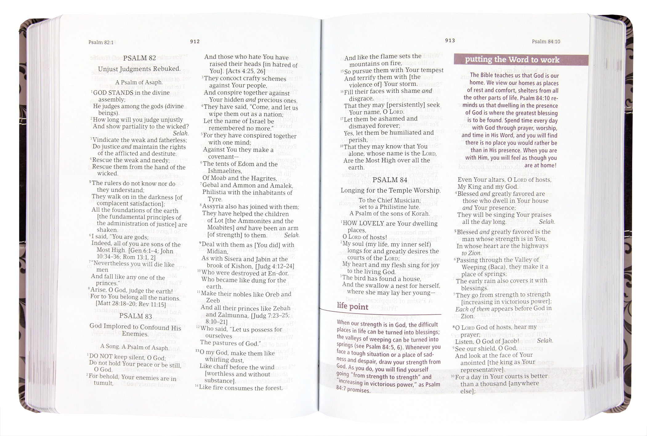 Amplified The Everyday Life Bible Gray