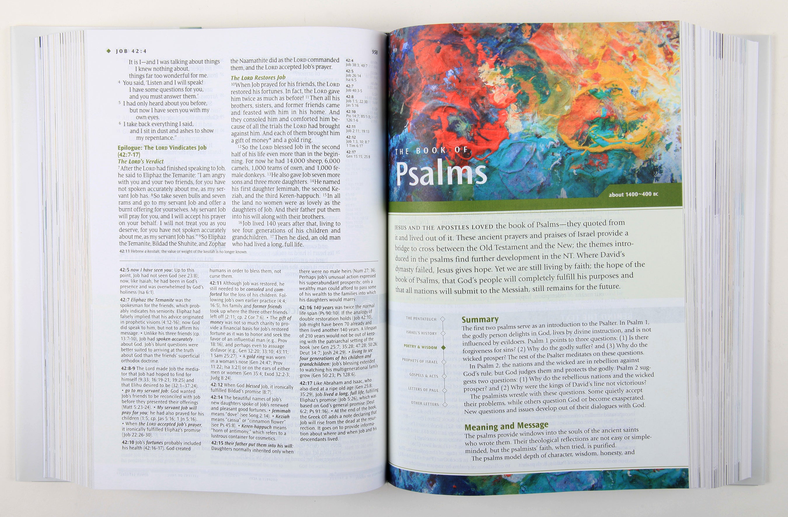 NLT Illustrated Study Bible (Black Letter Edition)