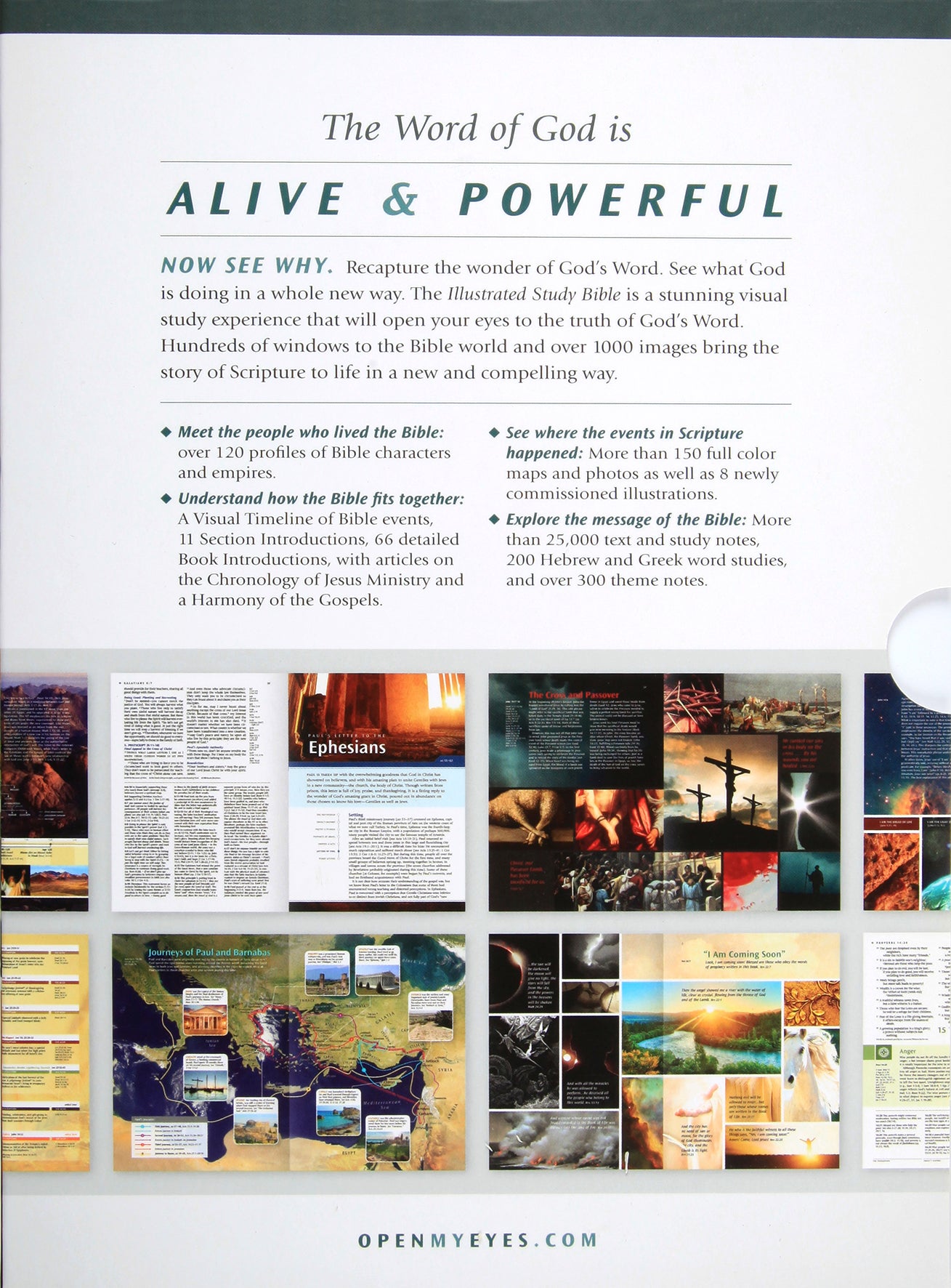 NLT Illustrated Study Bible (Black Letter Edition)