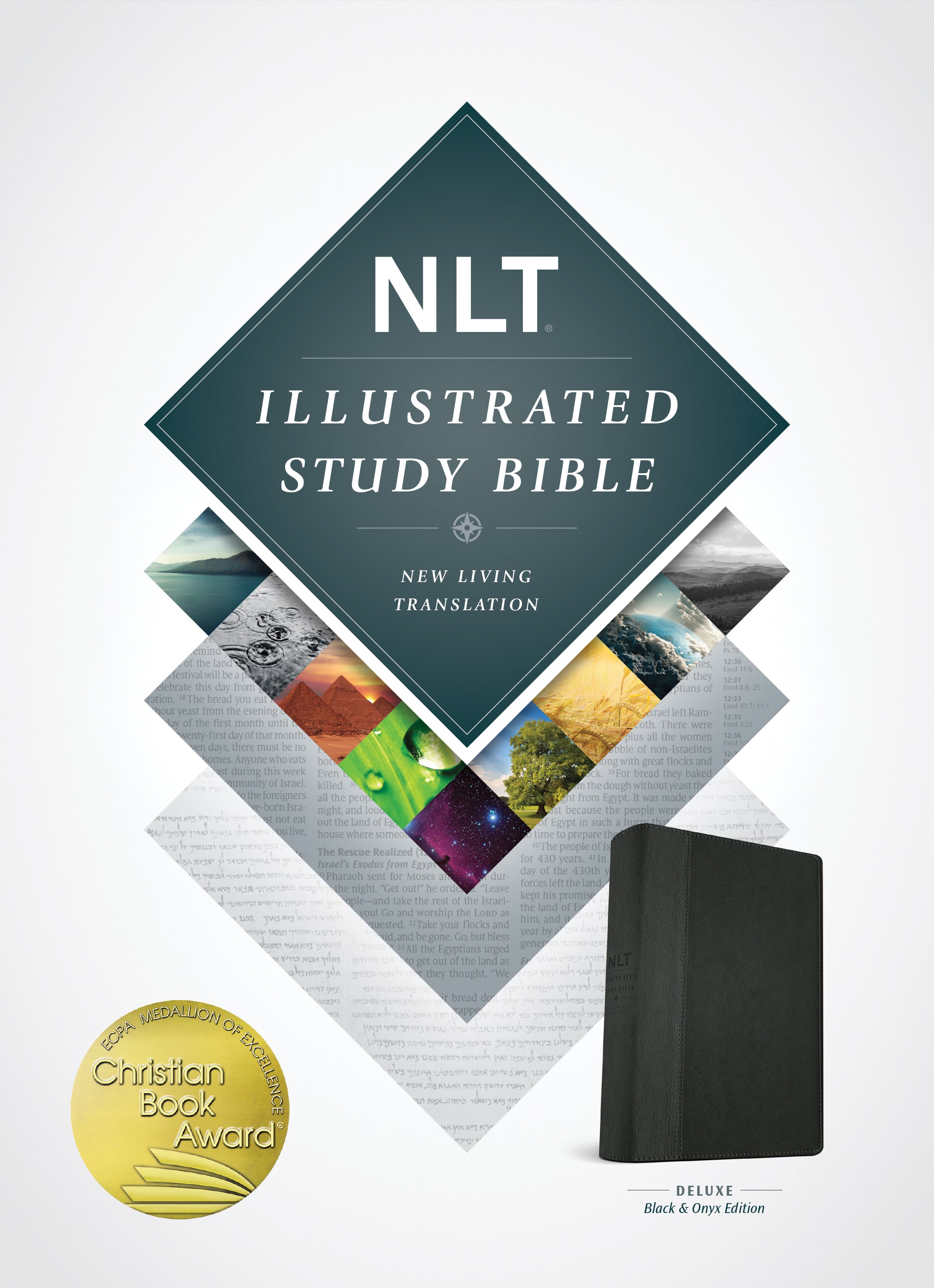 NLT Illustrated Study Bible Black/Onyx (Black Letter Edition)