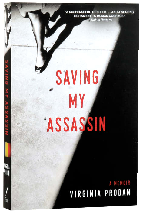 Saving My Assassin