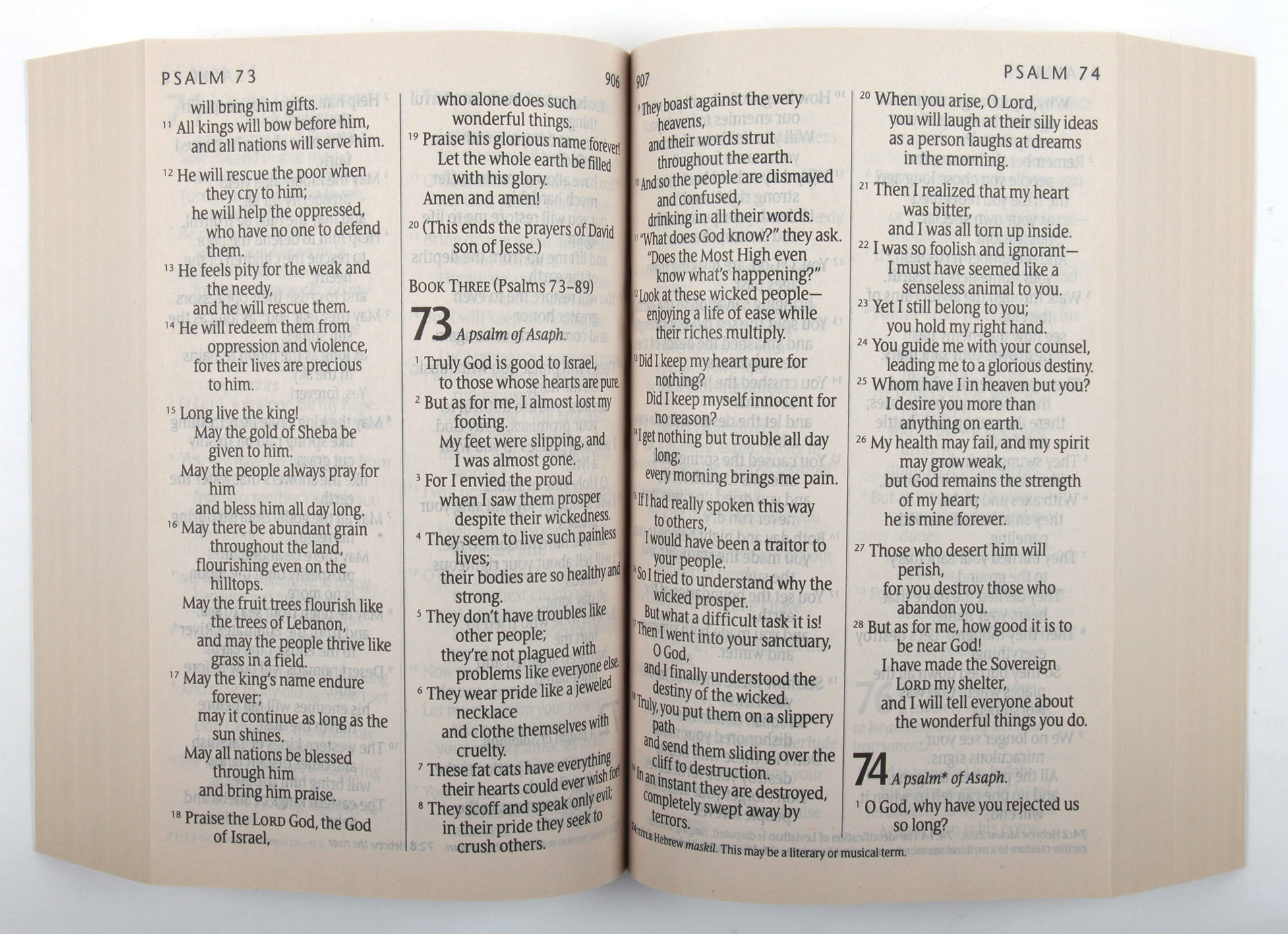 NLT Abundant Life Bible Large Print (Black Letter Edition)
