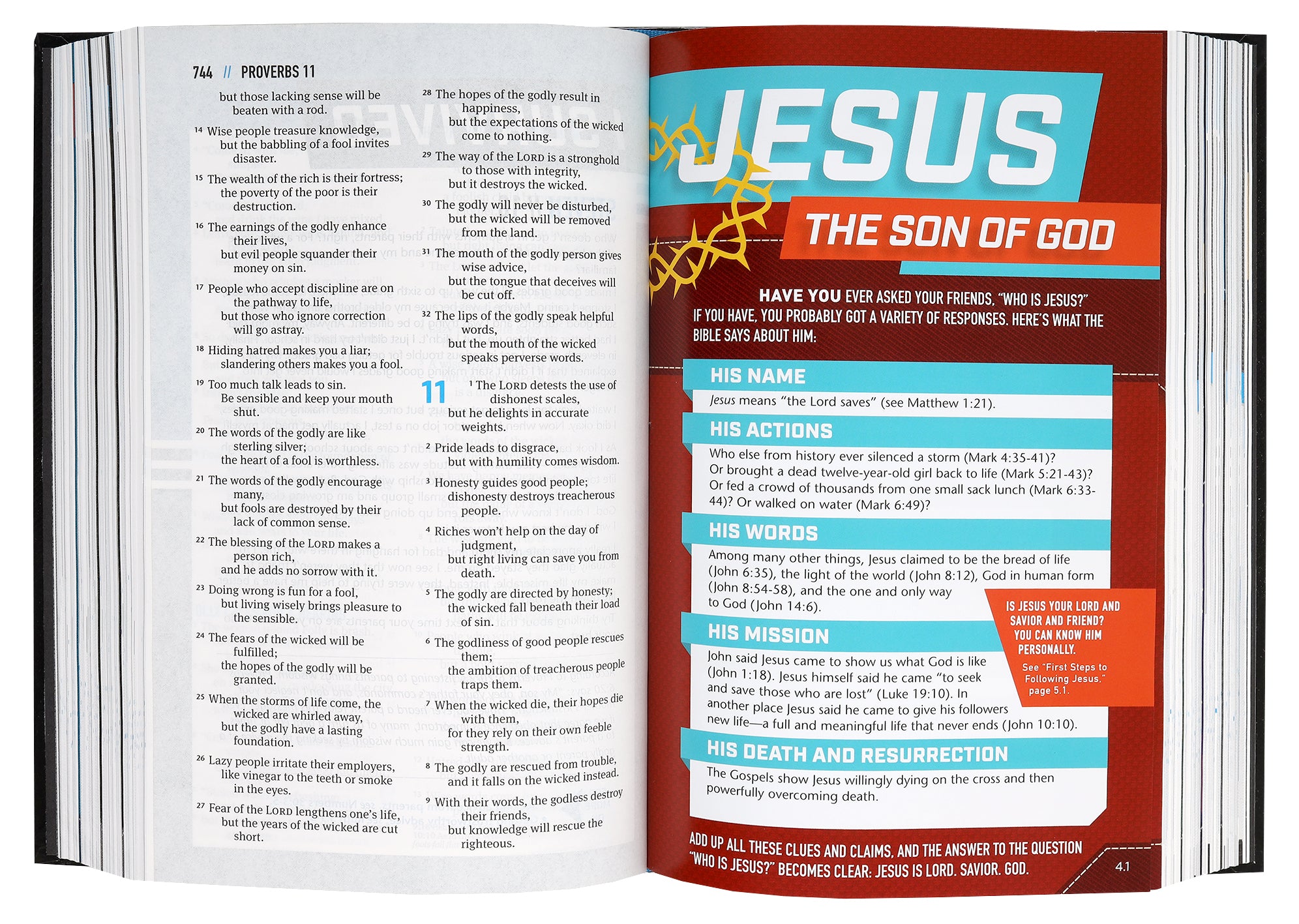 NLT Boys Life Application Study Bible (Black Letter Edition)