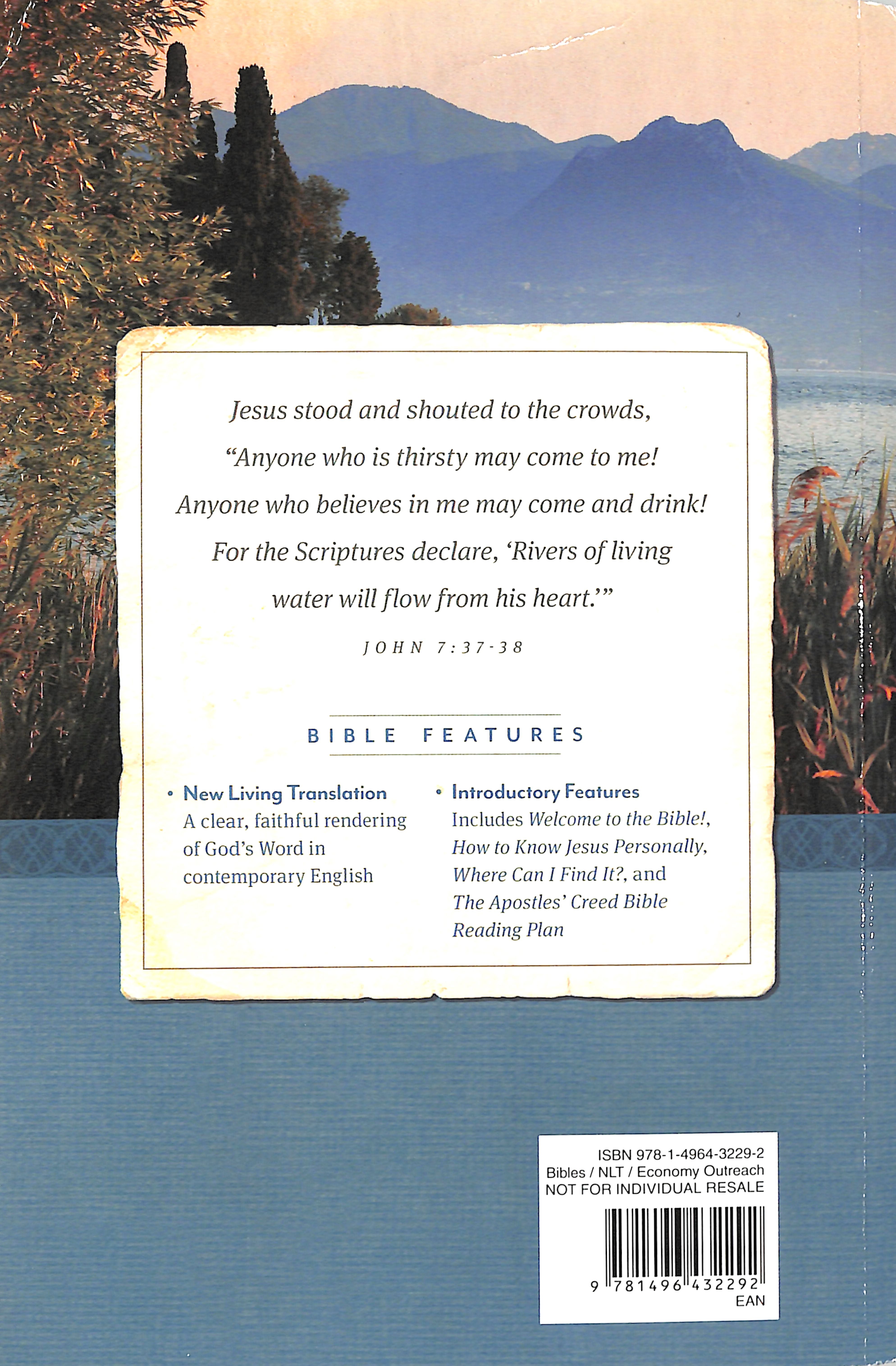 NLT Economy Outreach Bible Large Print (Black Letter)