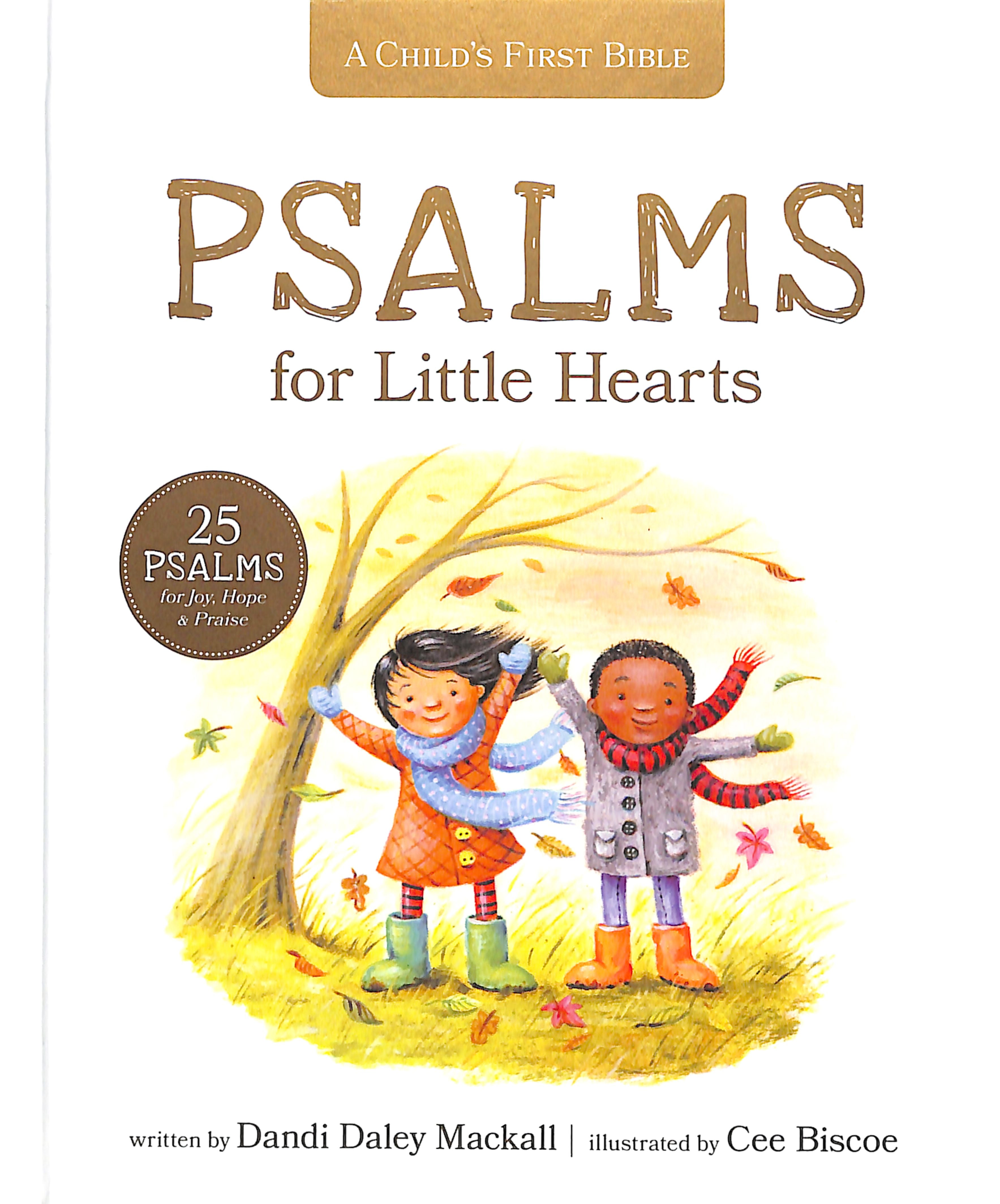 Psalms For Little Hearts, A: 25 Psalms For Joy, Hope and Praise (A Child's First Bible Series)