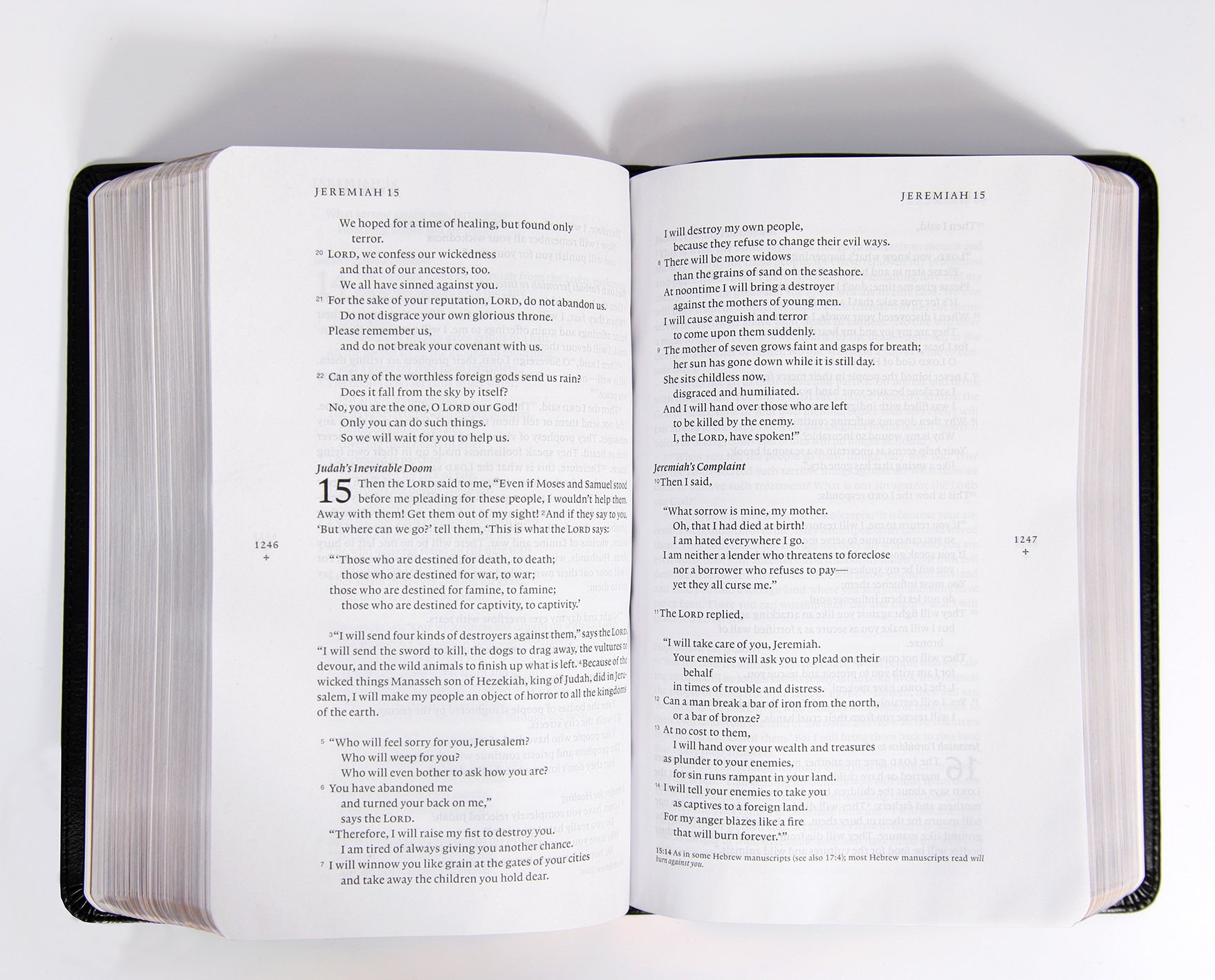 NLT Filament Bible Black (Black Letter Edition) (The Print+digital Bible)