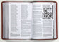 NLT Teen Life Application Study Bible Teal (Black Letter Edition)