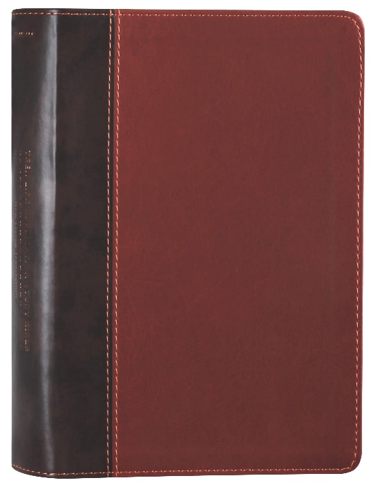 NLT Teen Life Application Study Bible Brown (Black Letter Edition)