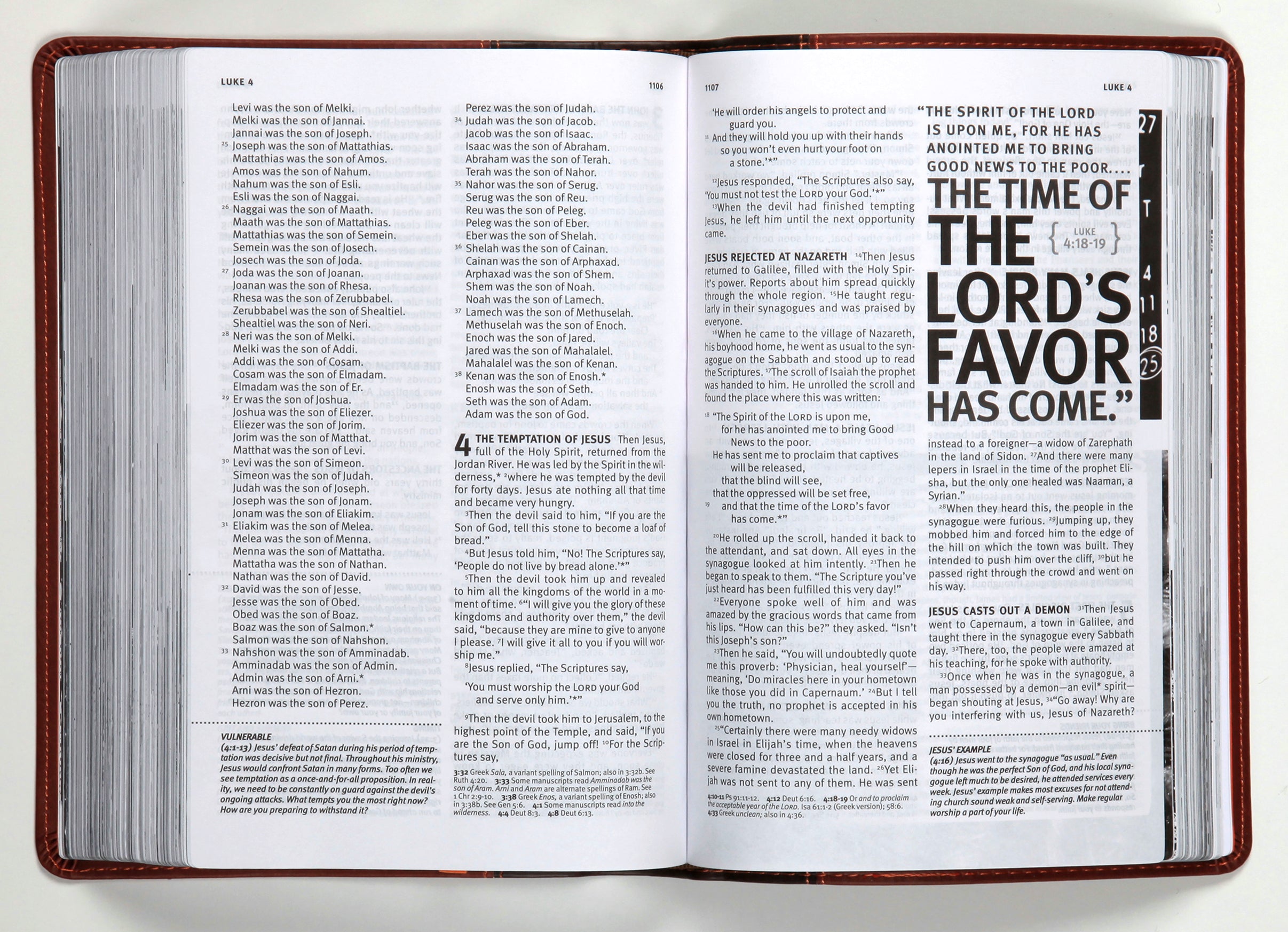 NLT Teen Life Application Study Bible Brown (Black Letter Edition)