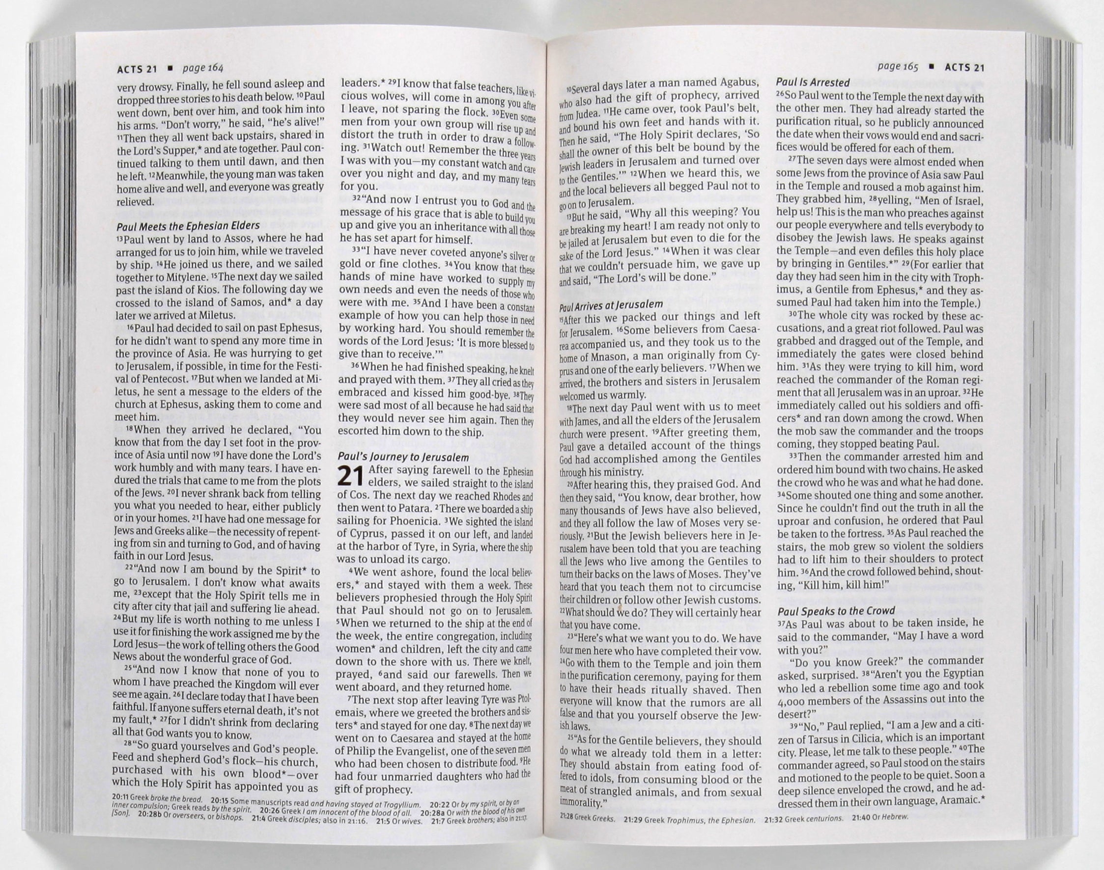 NLT New Believer's Bible New Testament: First Steps For New Christians (Black Letter Edition)