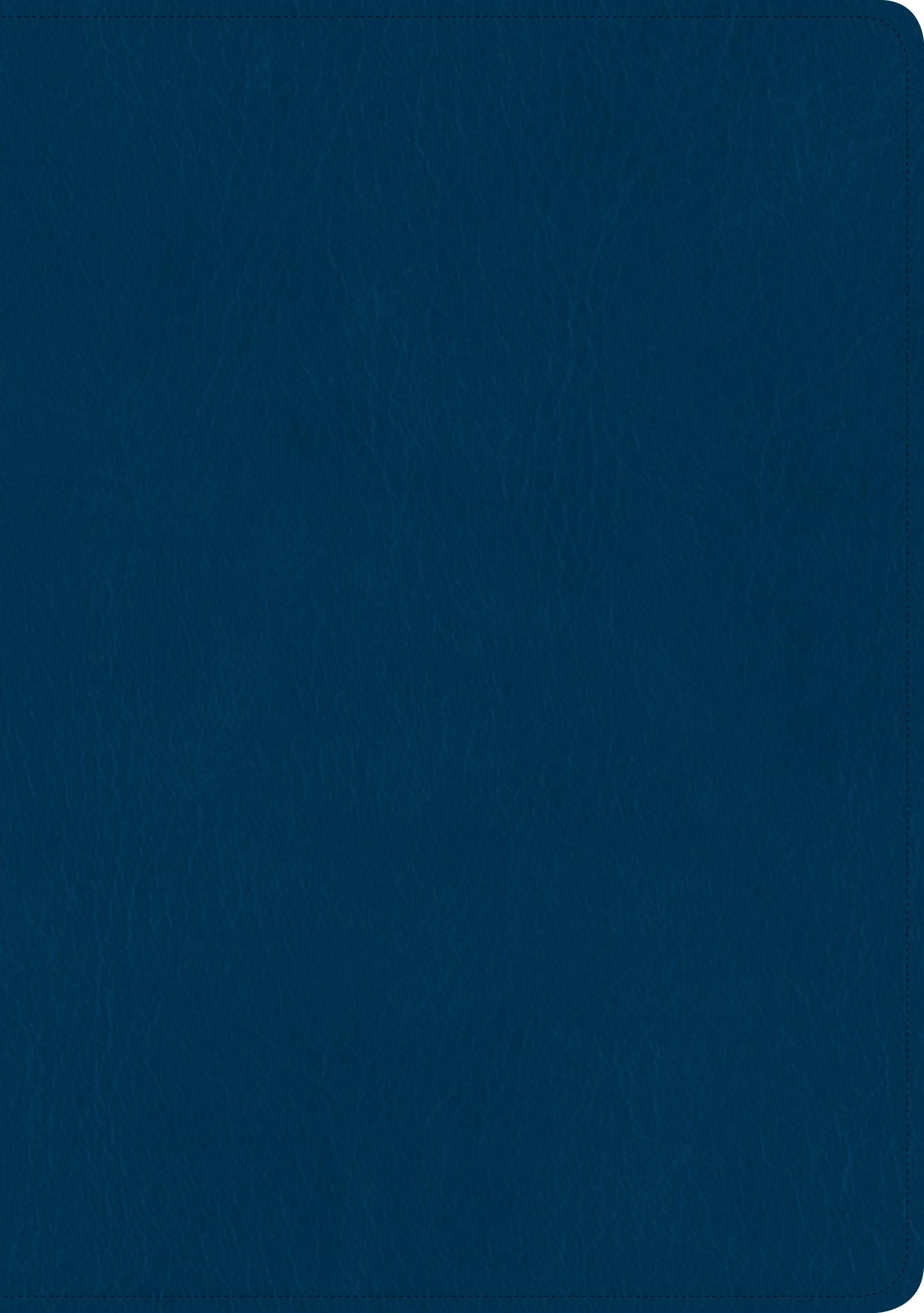 Ntv Santa Biblia Edicion Clasica Letra Gigante Blue (Red Letter Edition)