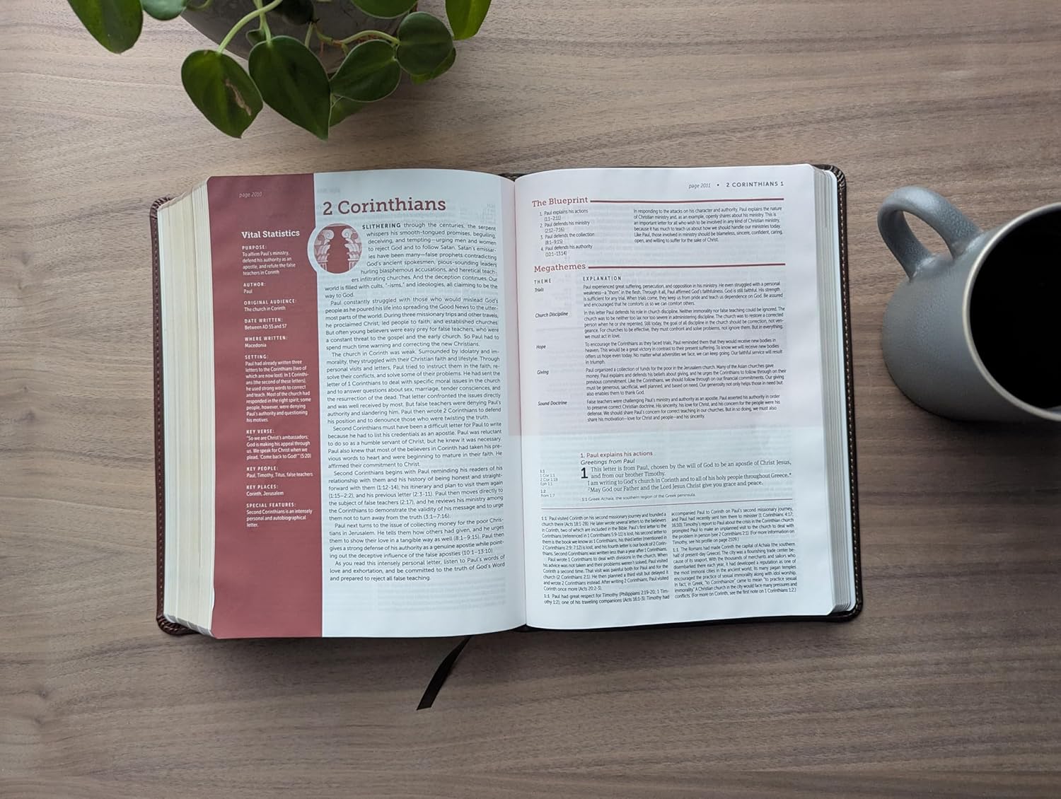 NLT Life Application Study Bible 3rd Edition Brown/Mahogany (Red Letter Edition)