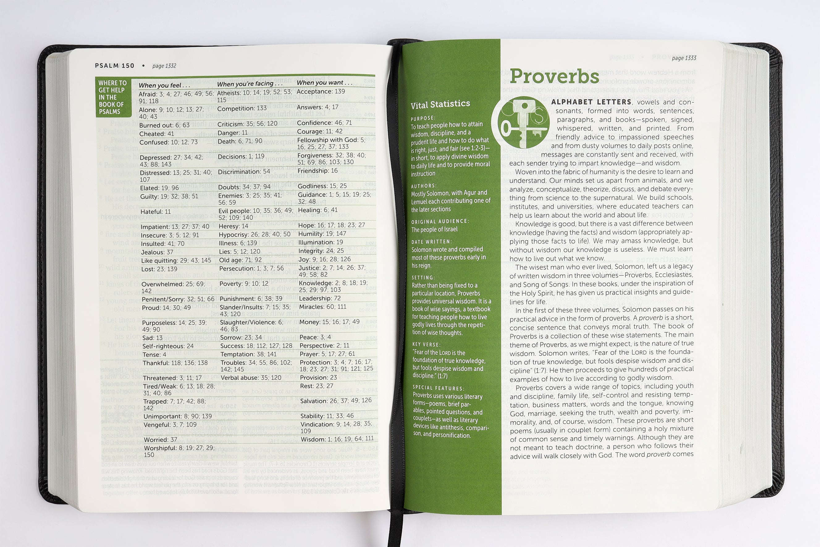 NLT Life Application Study Bible 3rd Edition Large Print Black/Onyx (Red Letter Edition)