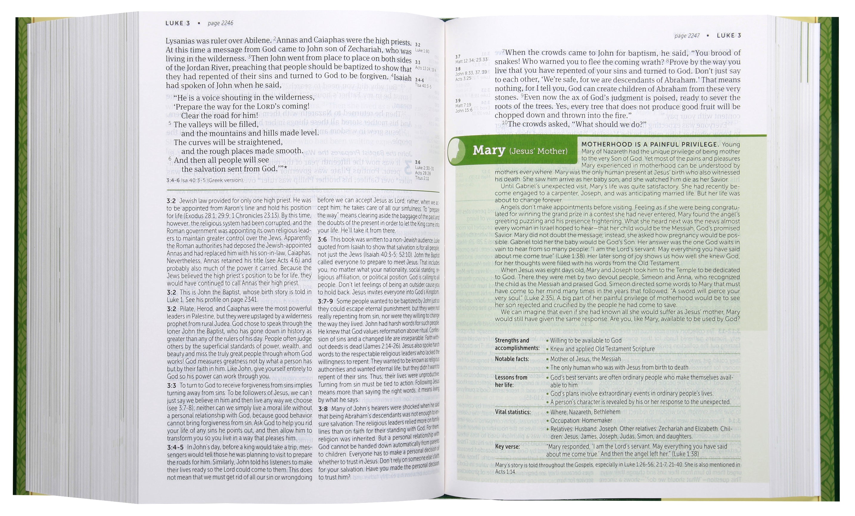 NLT Life Application Study Bible 3rd Edition Large Print (Red Letter Edition)