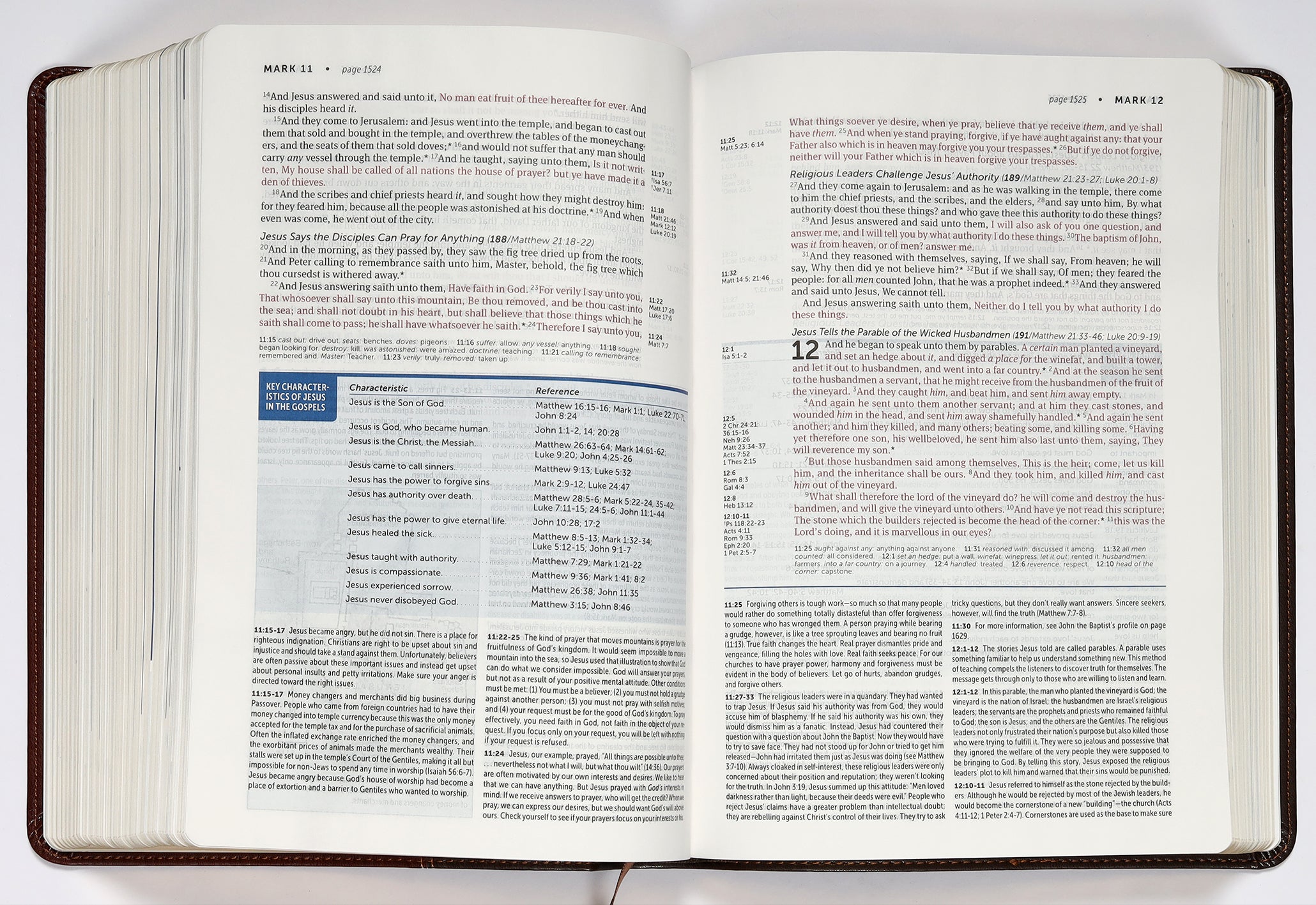 KJV Life Application Study Bible 3rd Edition Brown/Mahogany (Red Letter Edition)