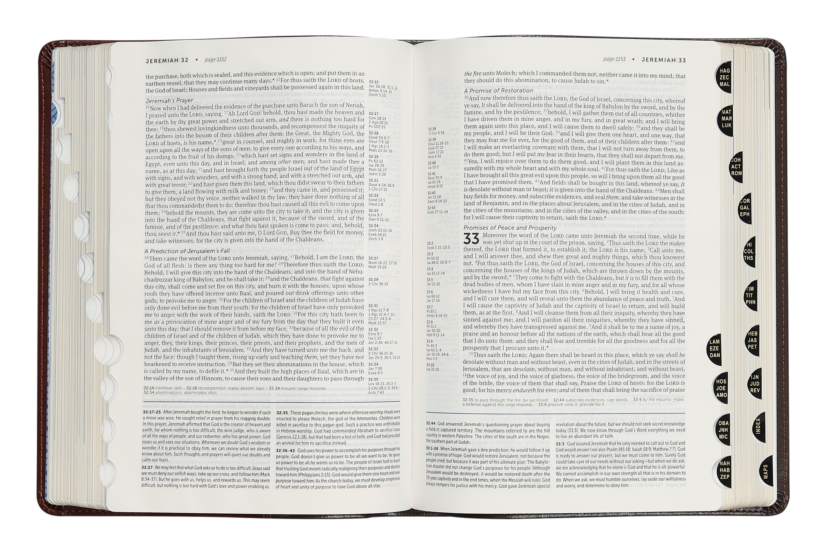 KJV Life Application Study Bible 3rd Edition Brown/Mahogany Indexed (Red Letter Edition)