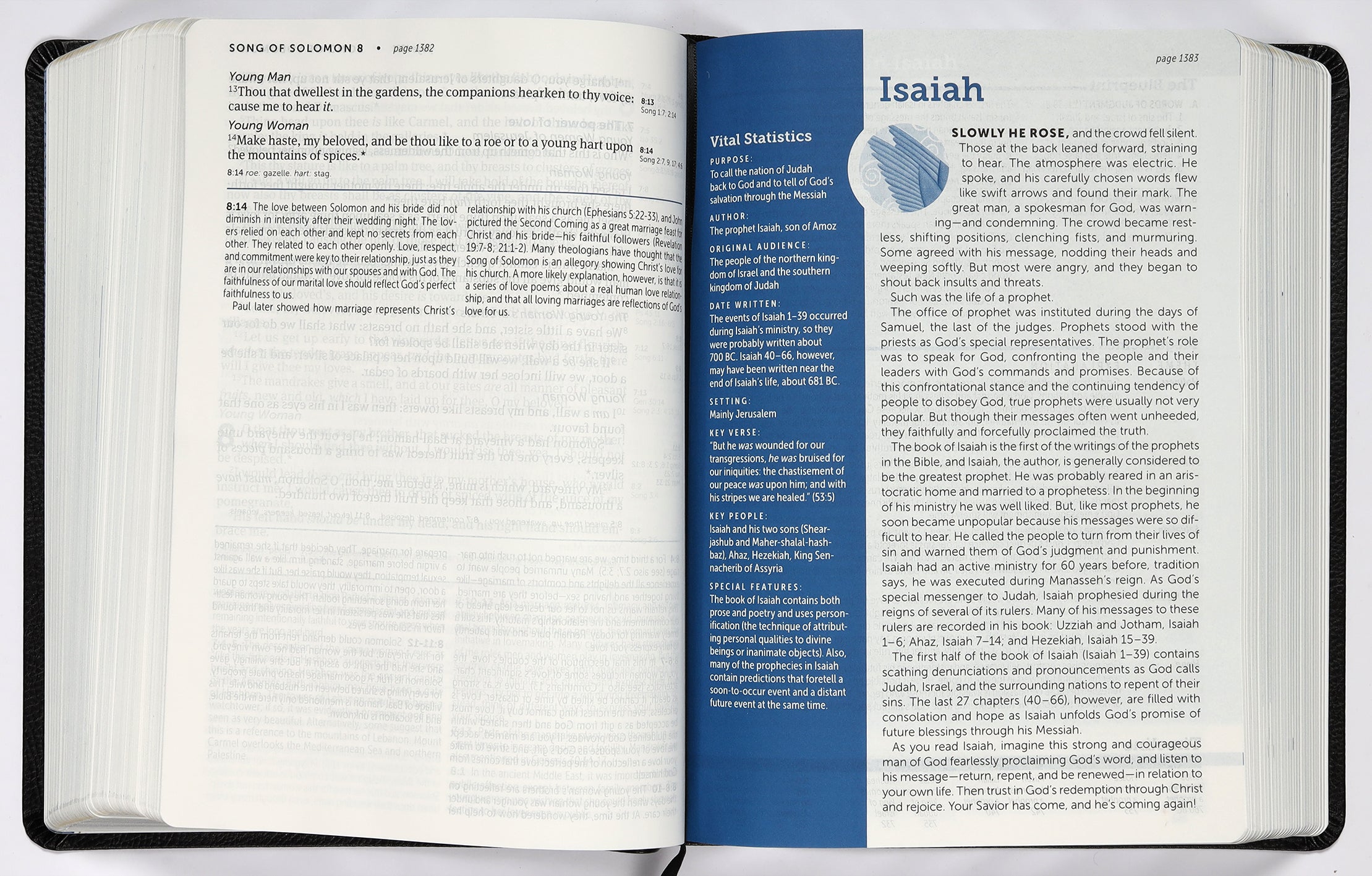 KJV Life Application Study Bible 3rd Edition Large Print Black