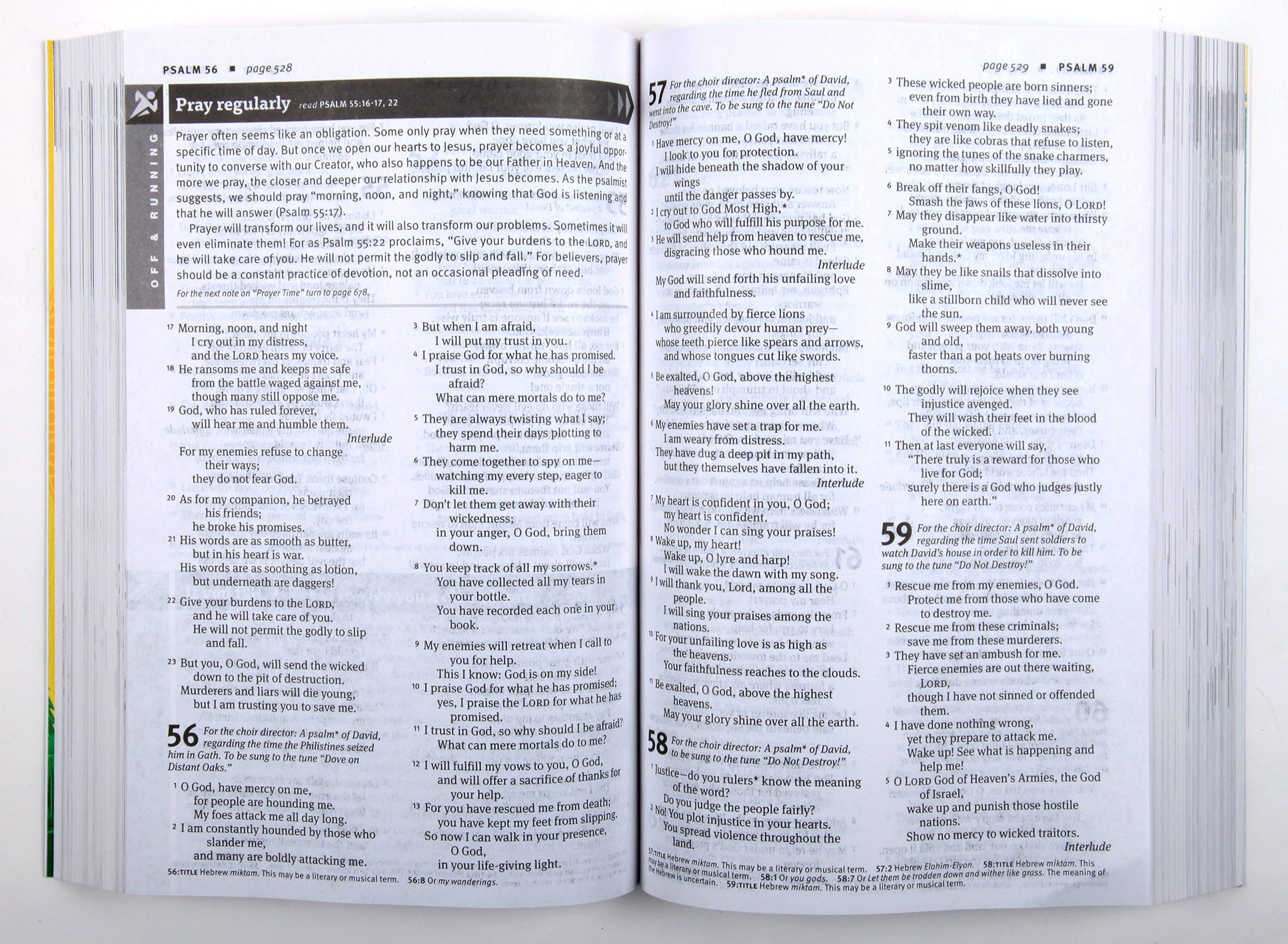NLT New Believer's Bible: First Steps For New Christians (Black Letter Edition)