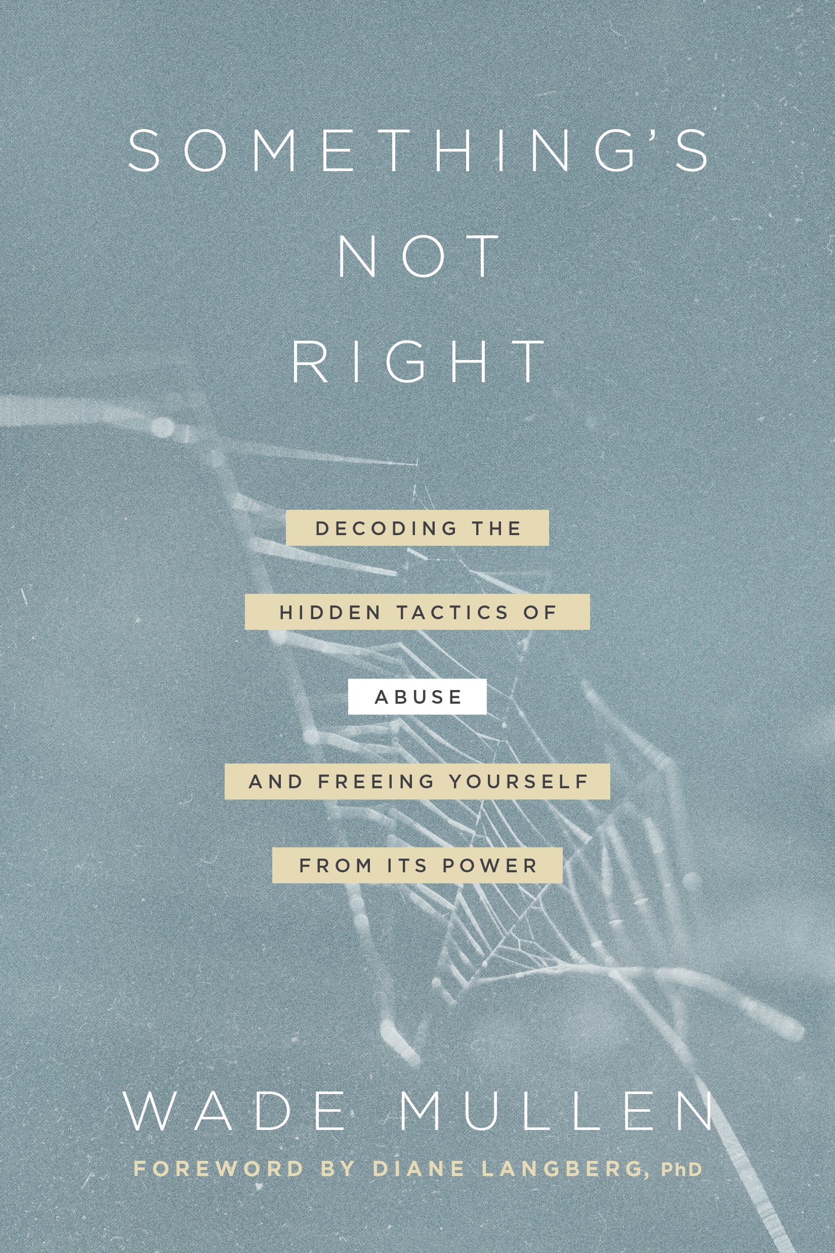 Something's Not Right: Decoding the Hidden Tactics of Abuse--And Freeing Yourself From Its Power