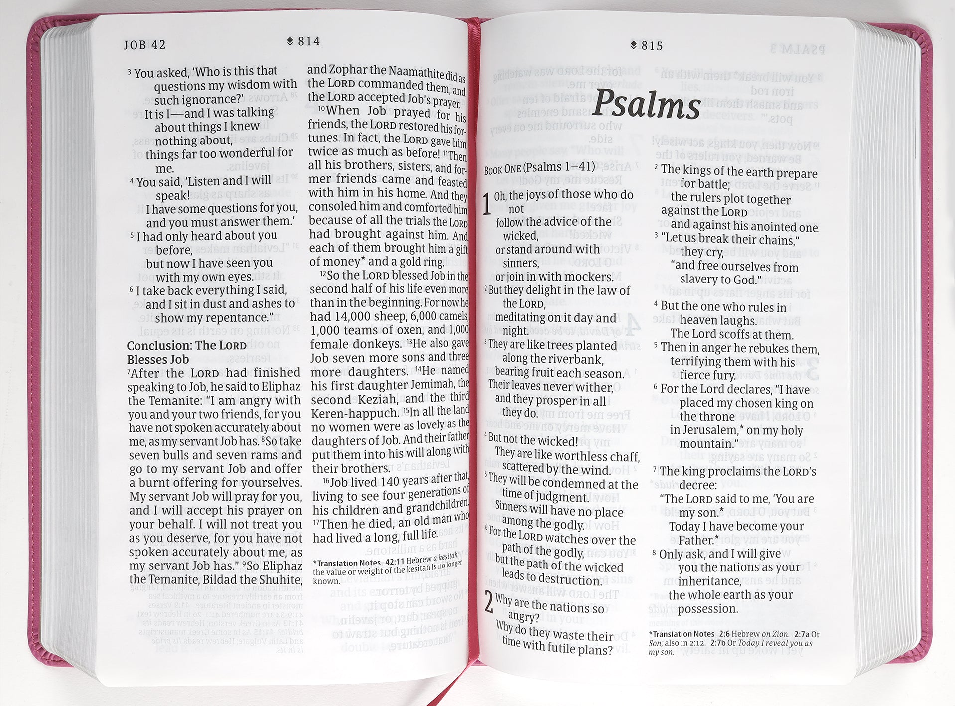 NLT Personal Size Giant Print Bible Filament Enabled Edition Peony Pink (Red Letter Edition)
