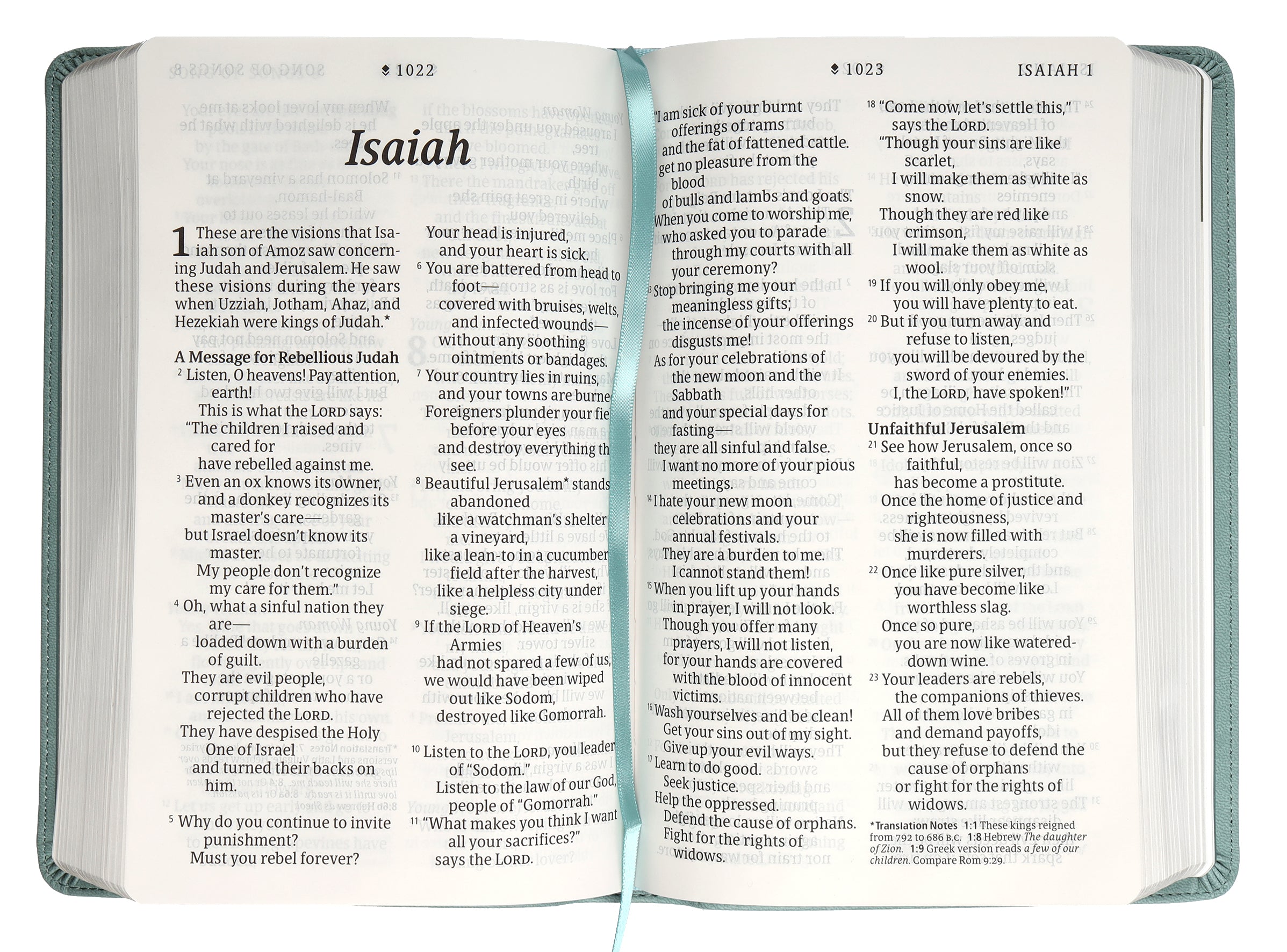 NLT Personal Size Giant Print Bible Filament Enabled Edition Floral Teal (Red Letter Edition)