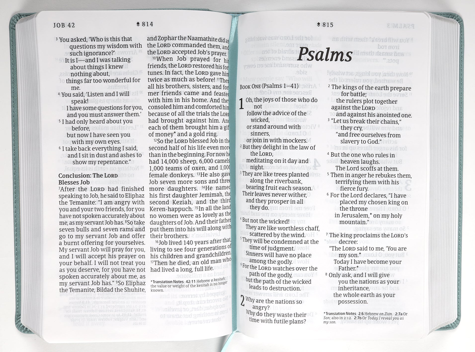 NLT Personal Size Giant Print Bible Filament Enabled Edition Floral Teal (Red Letter Edition)