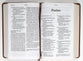 NLT Personal Size Giant Print Bible Filament Enabled Edition Rustic Brown (Red Letter Edition)