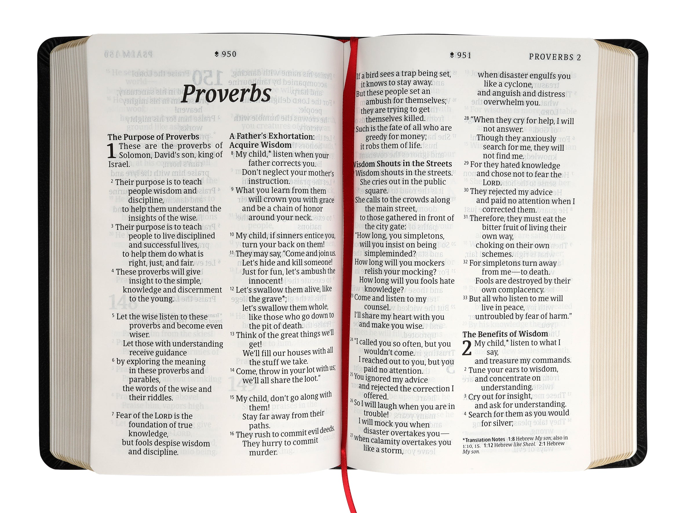 NLT Personal Size Giant Print Bible Filament Enabled Edition Black (Red Letter Edition)