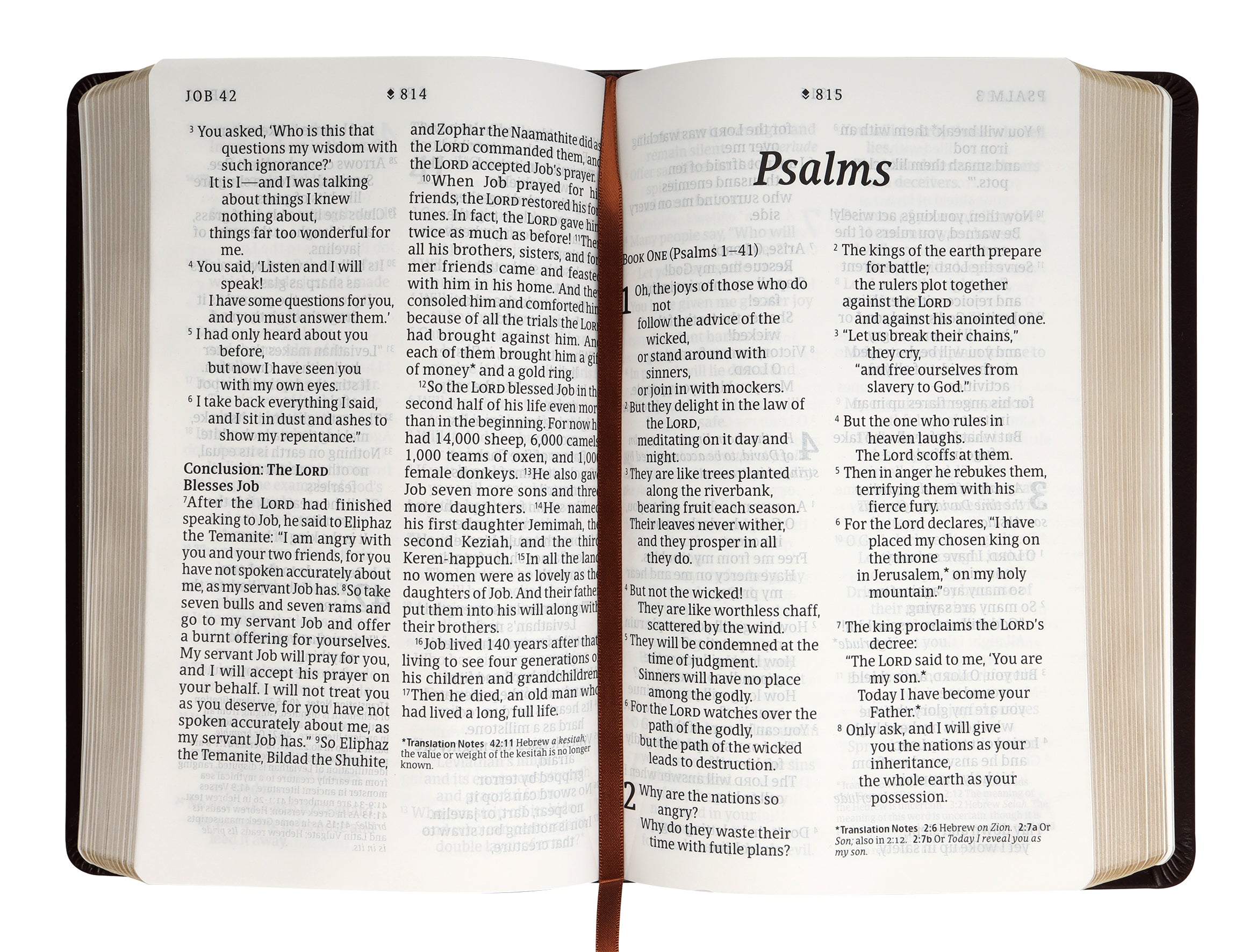 NLT Personal Size Giant Print Bible Filament Enabled Edition Brown (Red Letter Edition)
