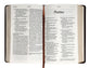 NLT Personal Size Giant Print Bible Filament Enabled Edition Brown (Red Letter Edition)