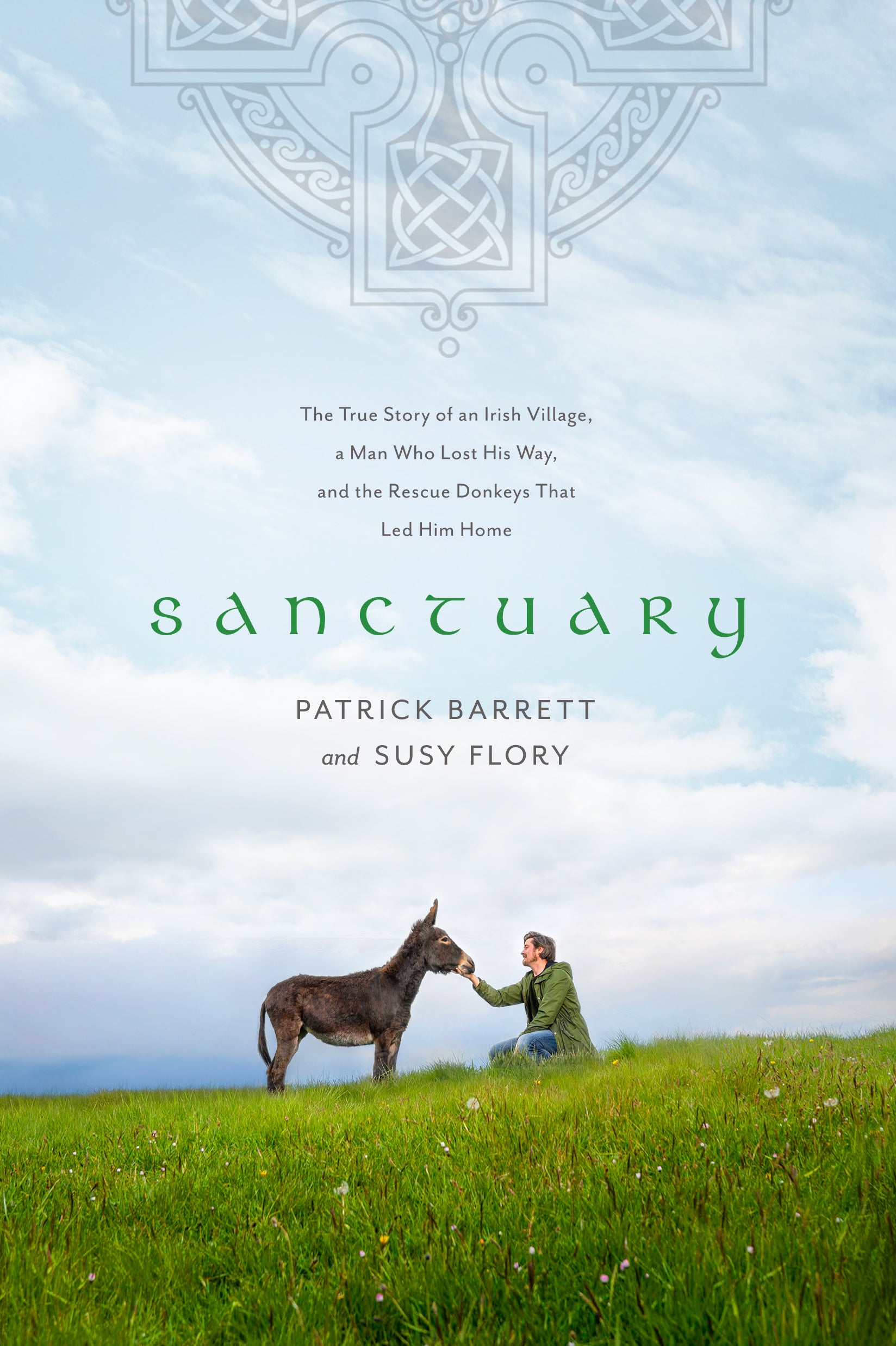 Sanctuary: The True Story of An Irish Village, a Man Who Lost His Way, and the Rescue Donkeys That Led Him Home