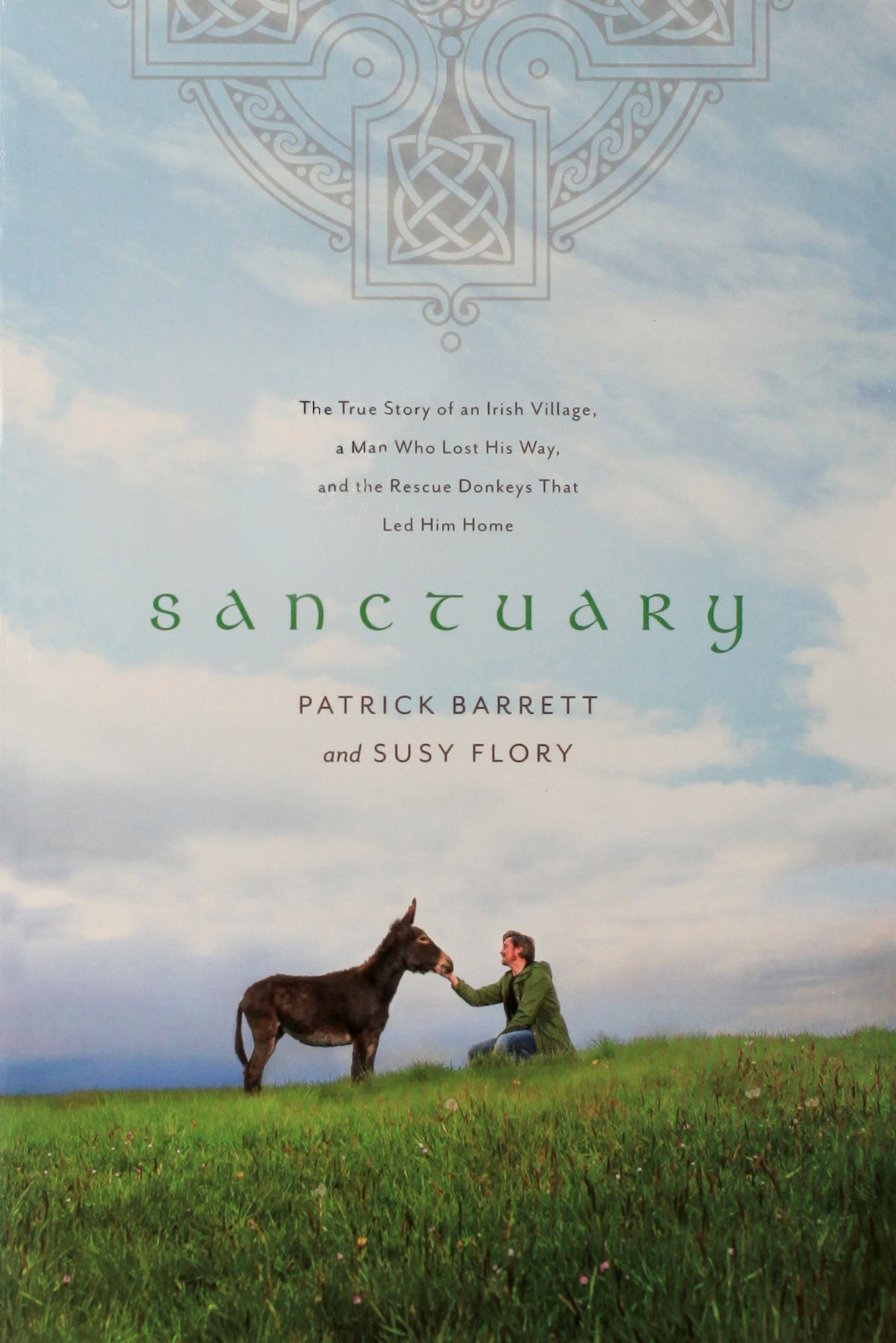 Sanctuary: The True Story of An Irish Village, a Man Who Lost His Way, and the Rescue Donkeys That Led Him Home