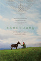 Sanctuary: The True Story of An Irish Village, a Man Who Lost His Way, and the Rescue Donkeys That Led Him Home