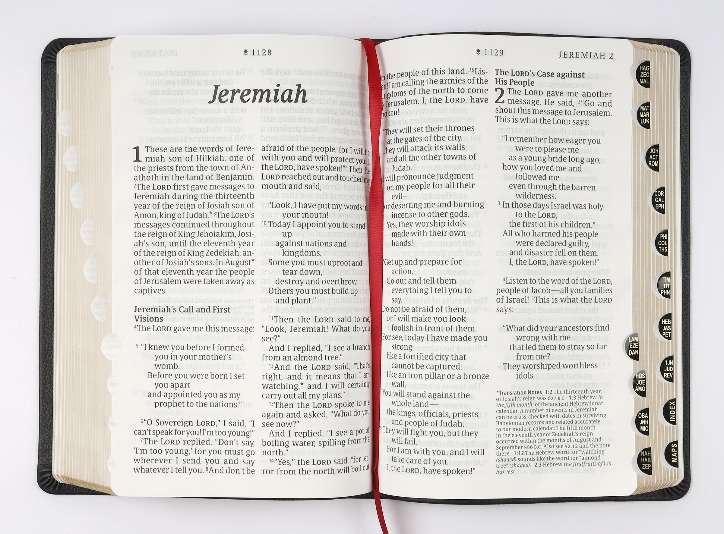 NLT Personal Size Giant Print Bible Filament Enabled Edition Indexed (Red Letter Edition)