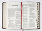 NLT Personal Size Giant Print Bible Filament Enabled Edition Indexed (Red Letter Edition)