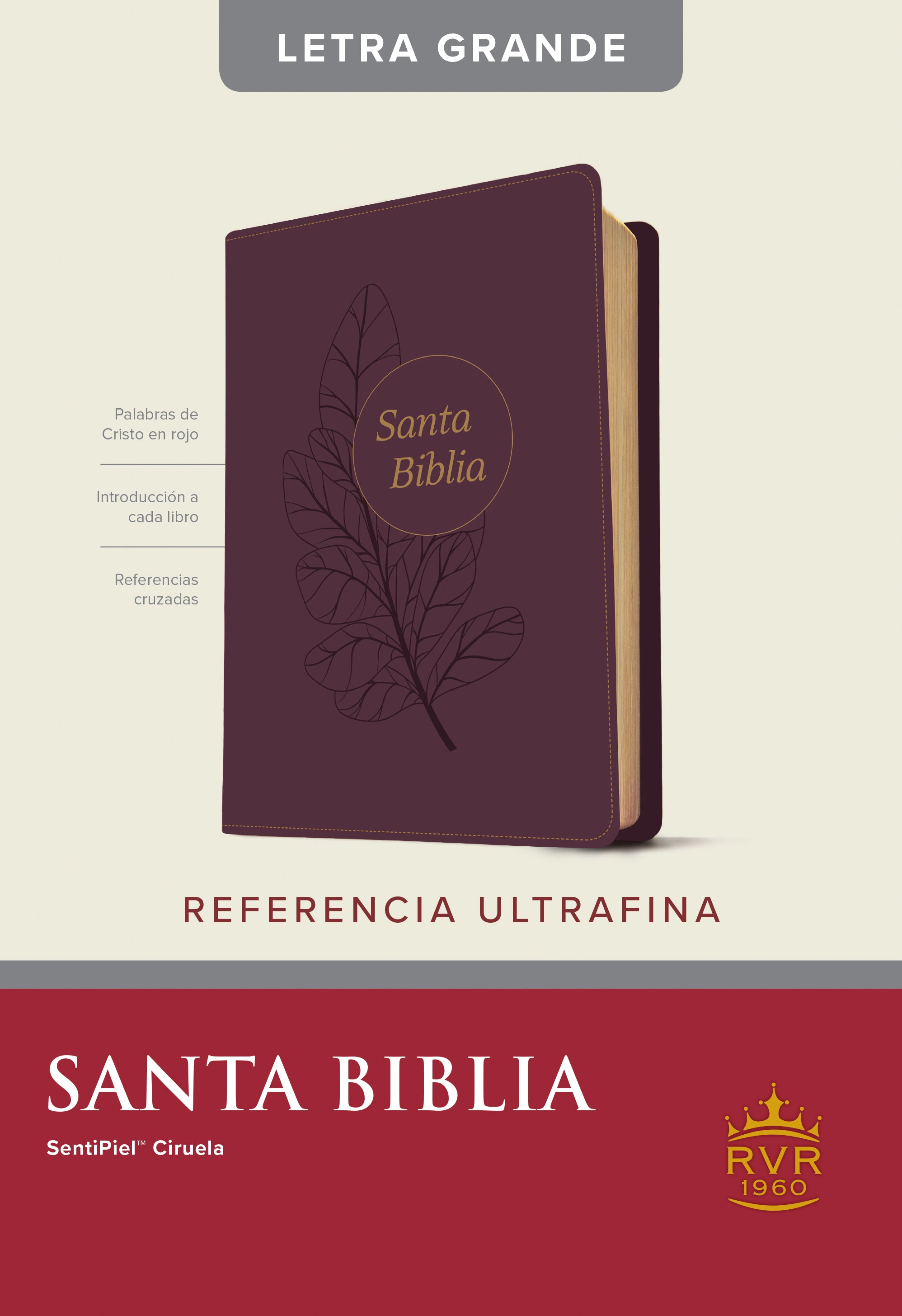 Rvr60 Santa Biblia Edicion De Referencia Ultrafina Letra Grande Ciruela (Red Letter Edition)