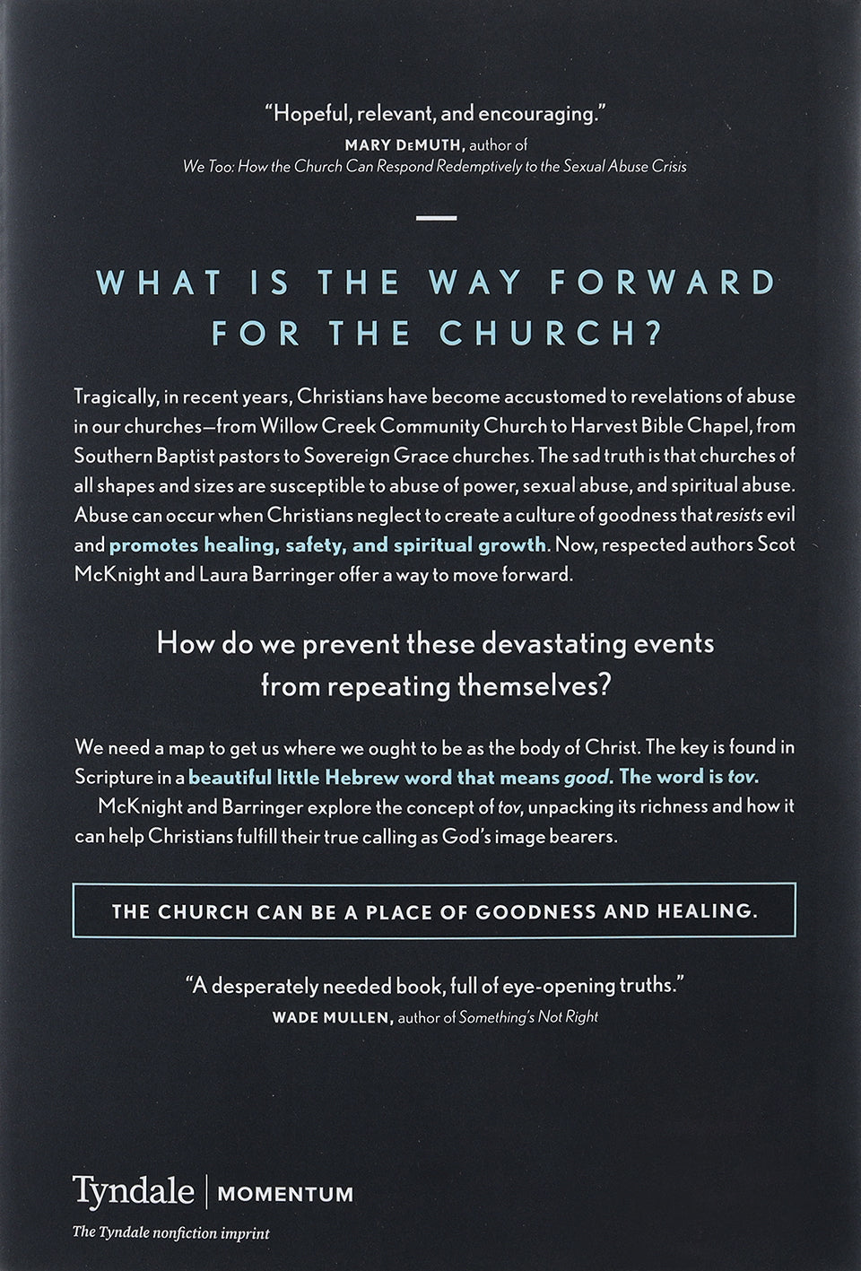 A Church Called Tov: Forming a Goodness Culture That Resists Abuses of Power and Promotes Healing
