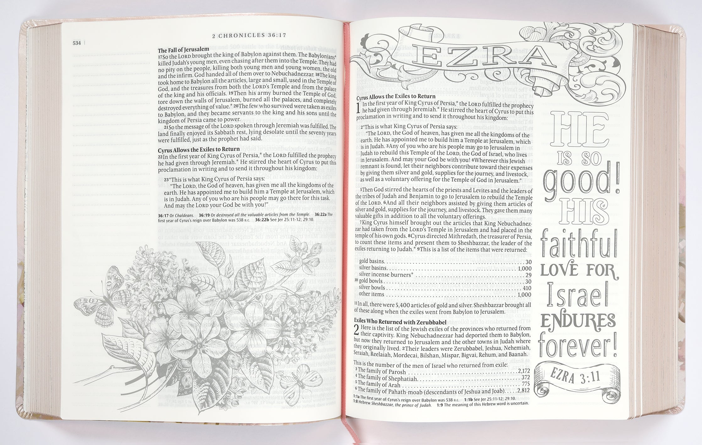 NLT Inspire Catholic Bible Large Print Pink Fields With Rose Gold (Black Letter Edition)