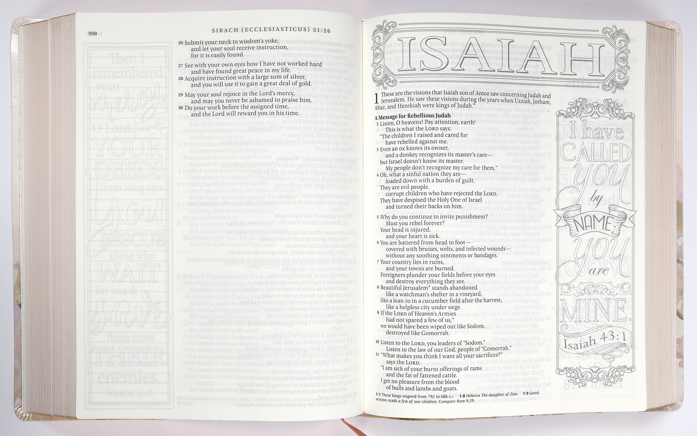 NLT Inspire Catholic Bible Large Print Pink Fields With Rose Gold (Black Letter Edition)