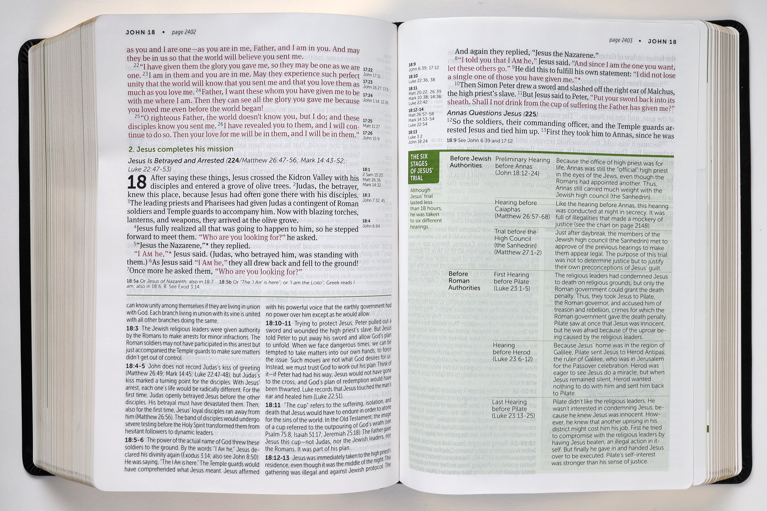 NLT Life Application Study Bible 3rd Edition Large Print Black (Red Letter Edition)