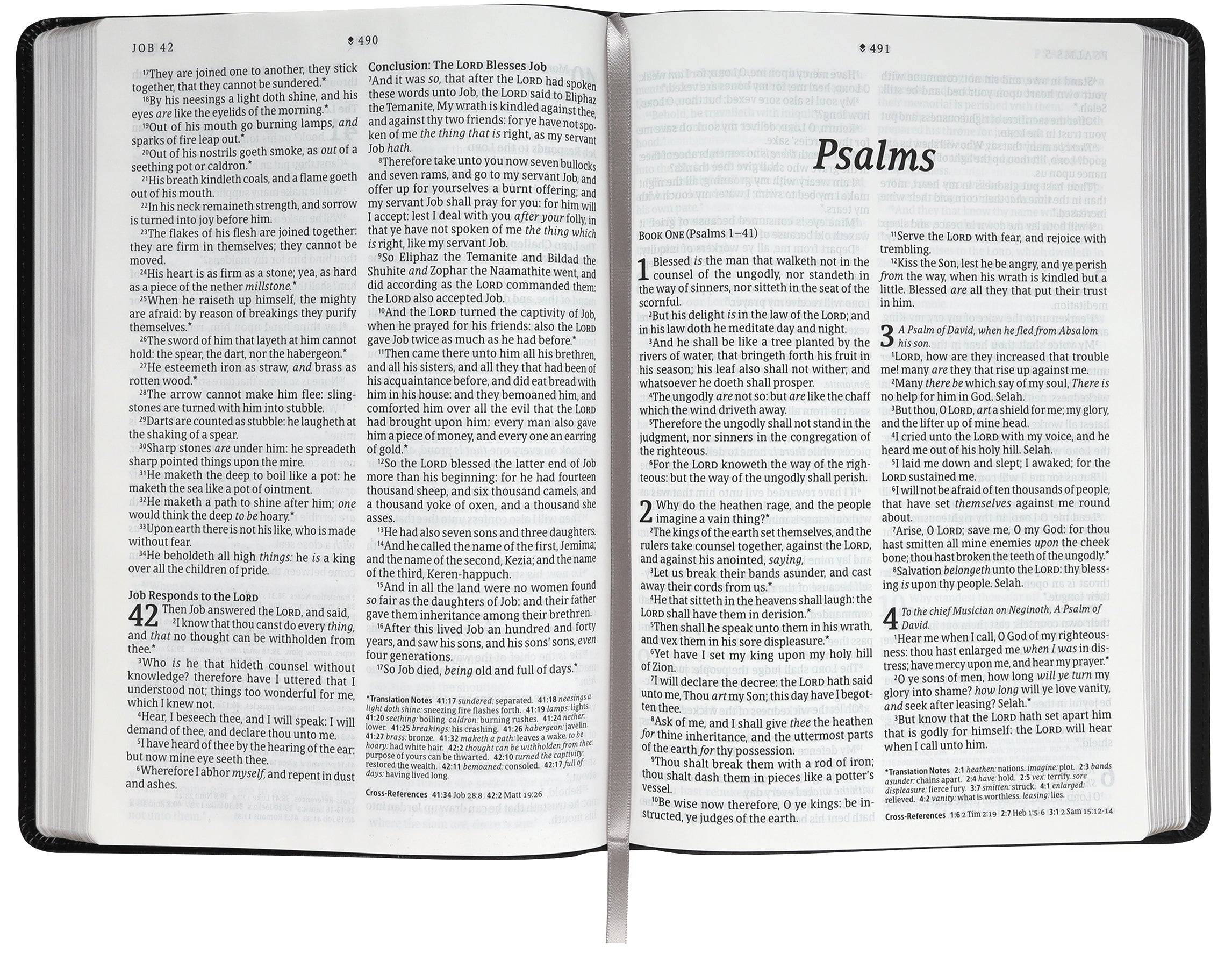 KJV Large Print Thinline Reference Bible Filament Enabled Edition Black & Onyx (Red Letter Edition)