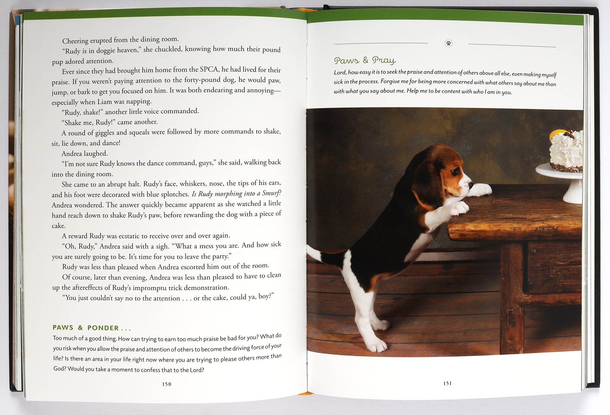 Pawverbs For a Dog Lover's Heart: Inspiring Stories of Friendship, Fun, and Faithfulness