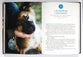 Pawverbs For a Dog Lover's Heart: Inspiring Stories of Friendship, Fun, and Faithfulness