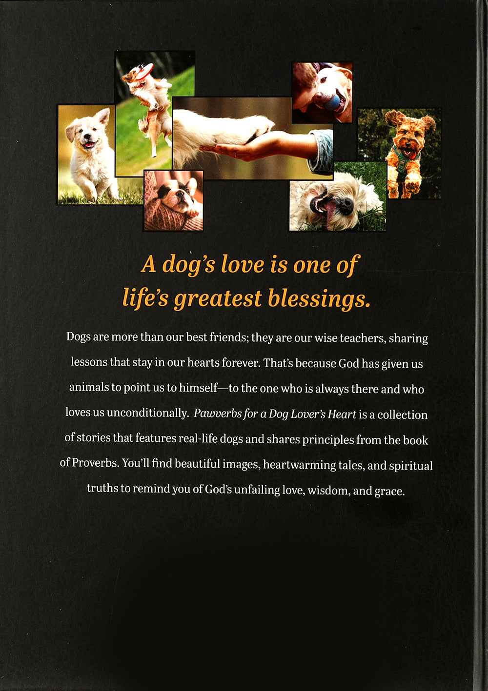 Pawverbs For a Dog Lover's Heart: Inspiring Stories of Friendship, Fun, and Faithfulness