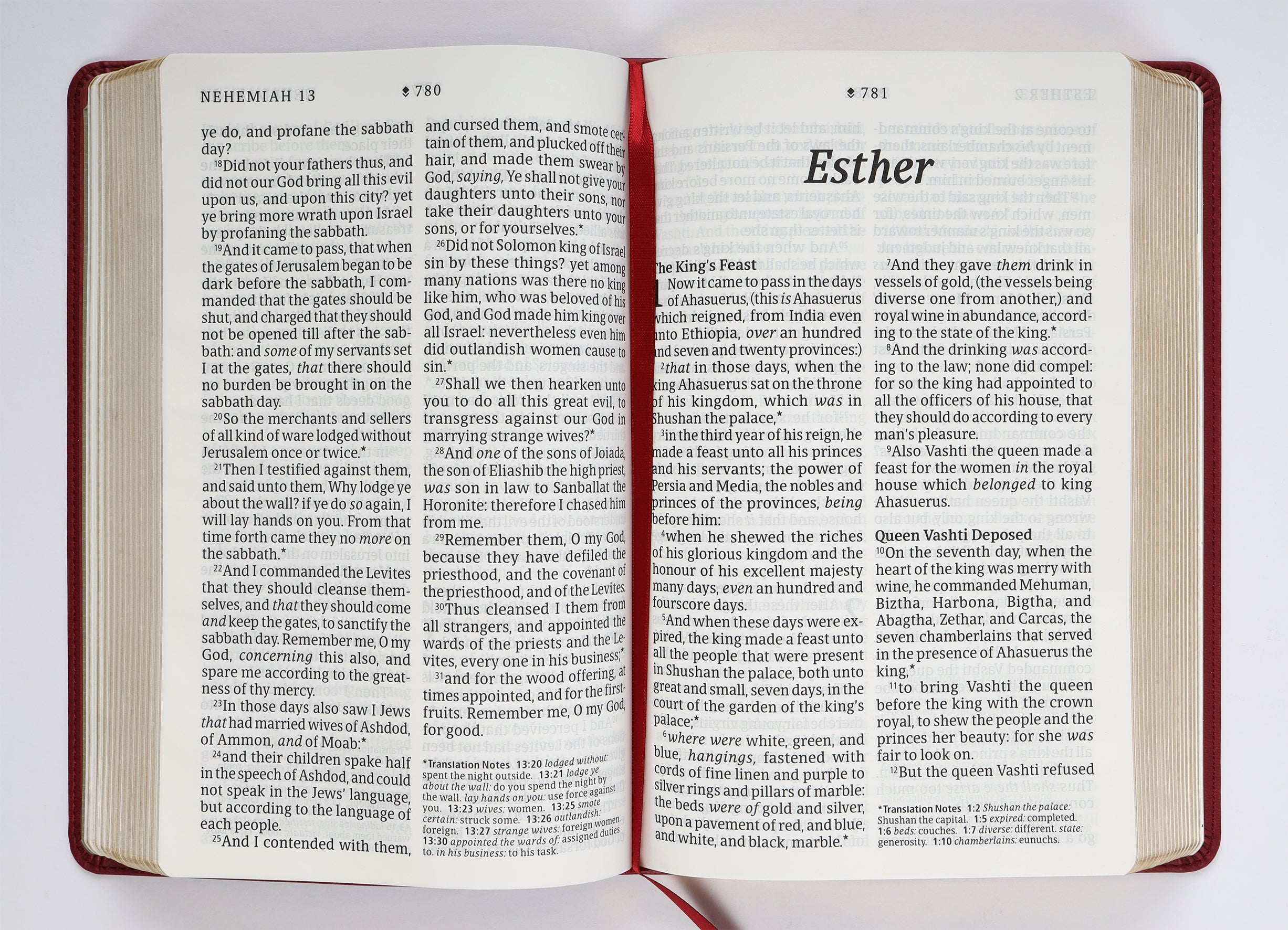 KJV Personal Size Giant Print Bible Filament Enabled Edition Diamond Frame Cranberry (Red Letter Edition)