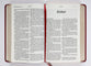 KJV Personal Size Giant Print Bible Filament Enabled Edition Diamond Frame Cranberry (Red Letter Edition)