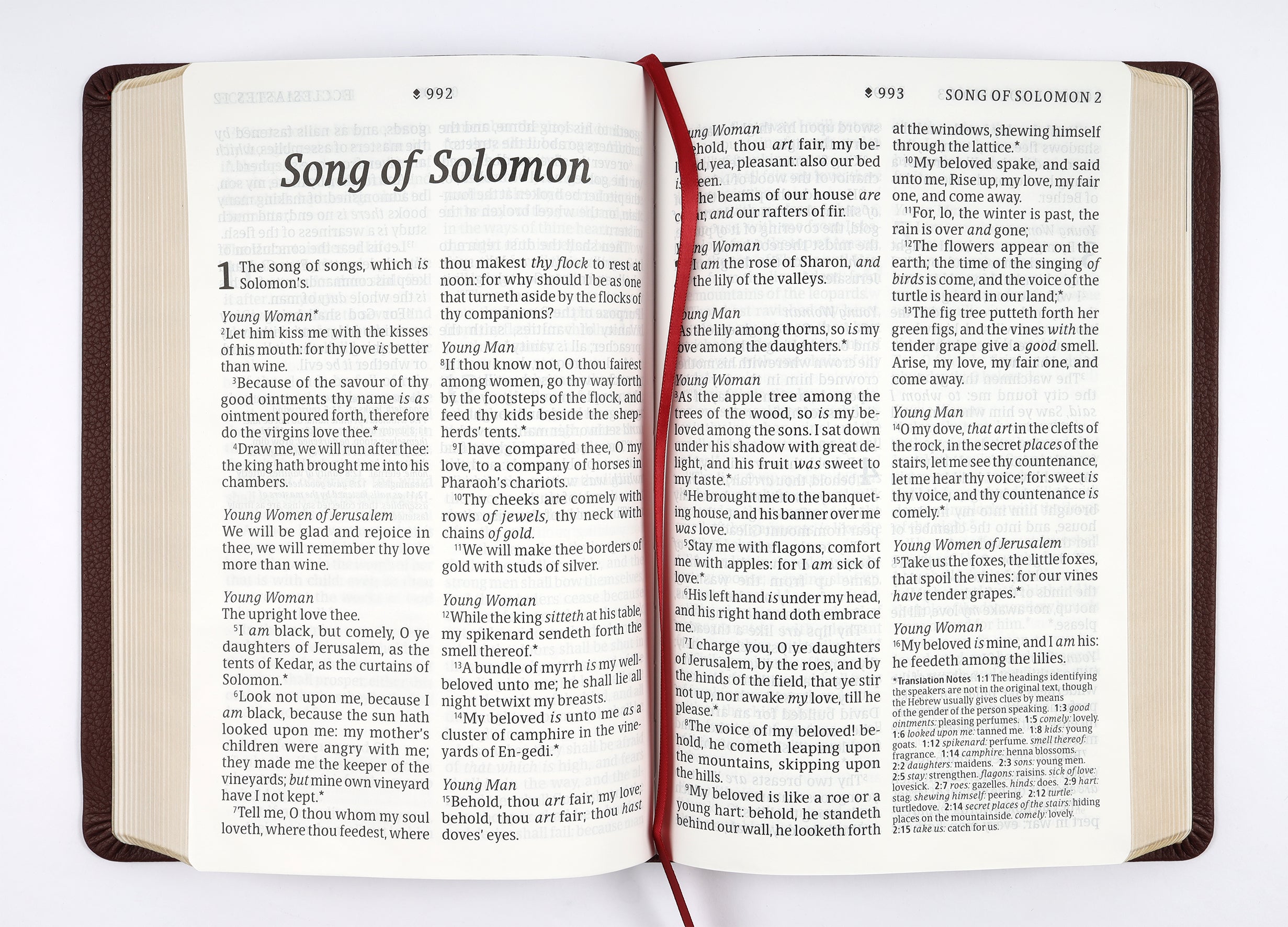 KJV Personal Size Giant Print Bible Filament Enabled Edition Burgundy (Red Letter Edition)